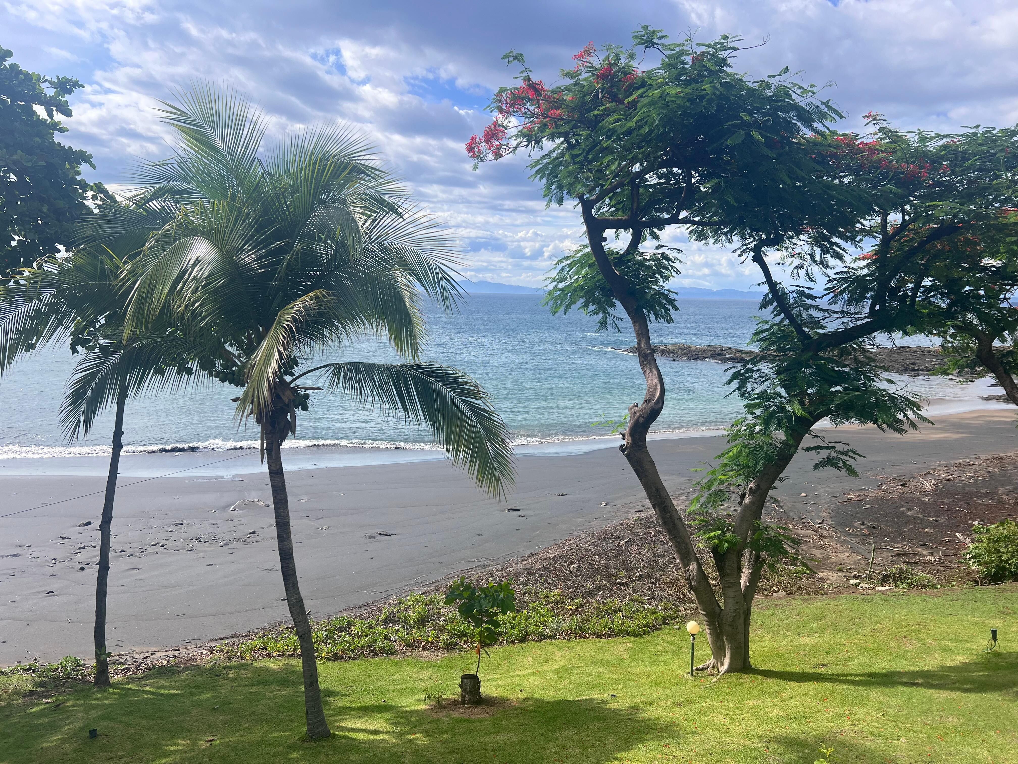 View from the balcony