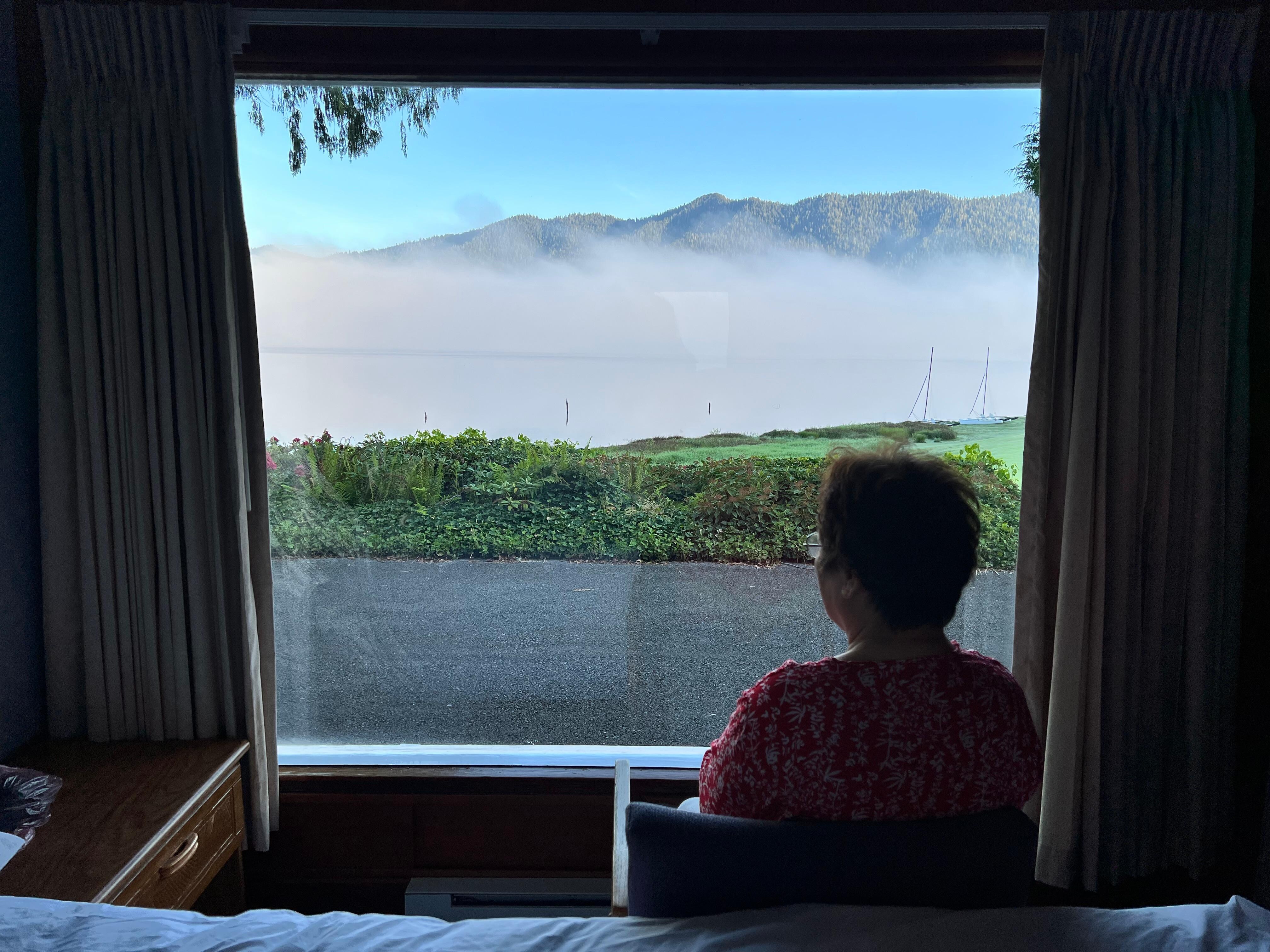 View from the window