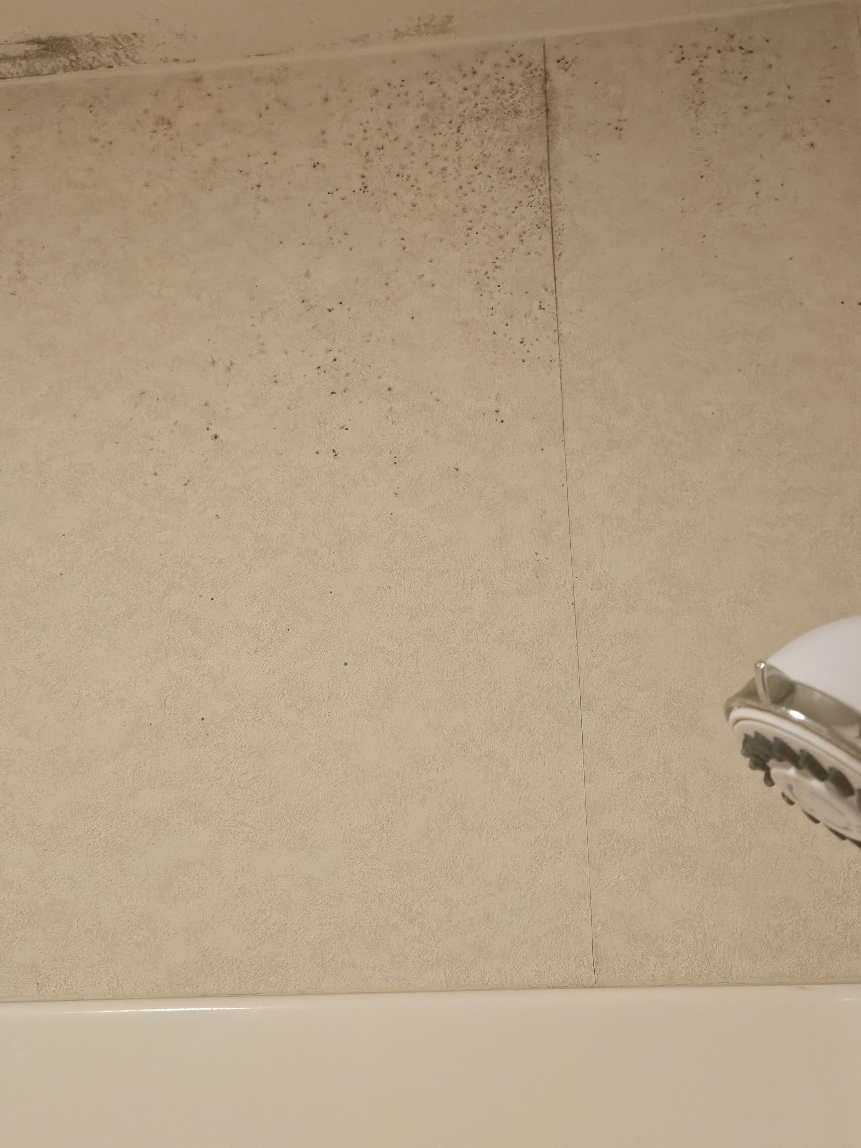 Mold in bathroom