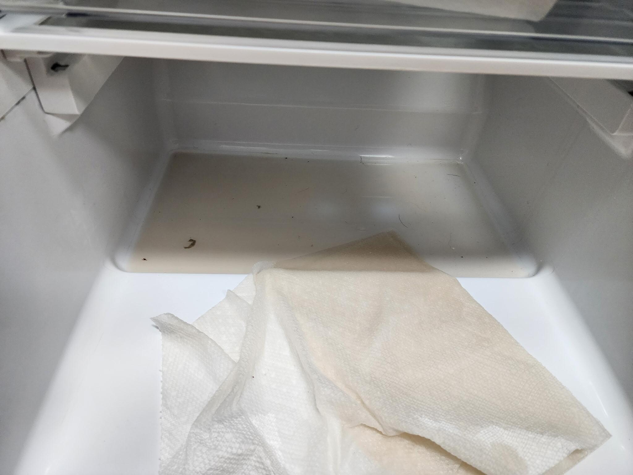 Putrid water left in the bottom of fridge.