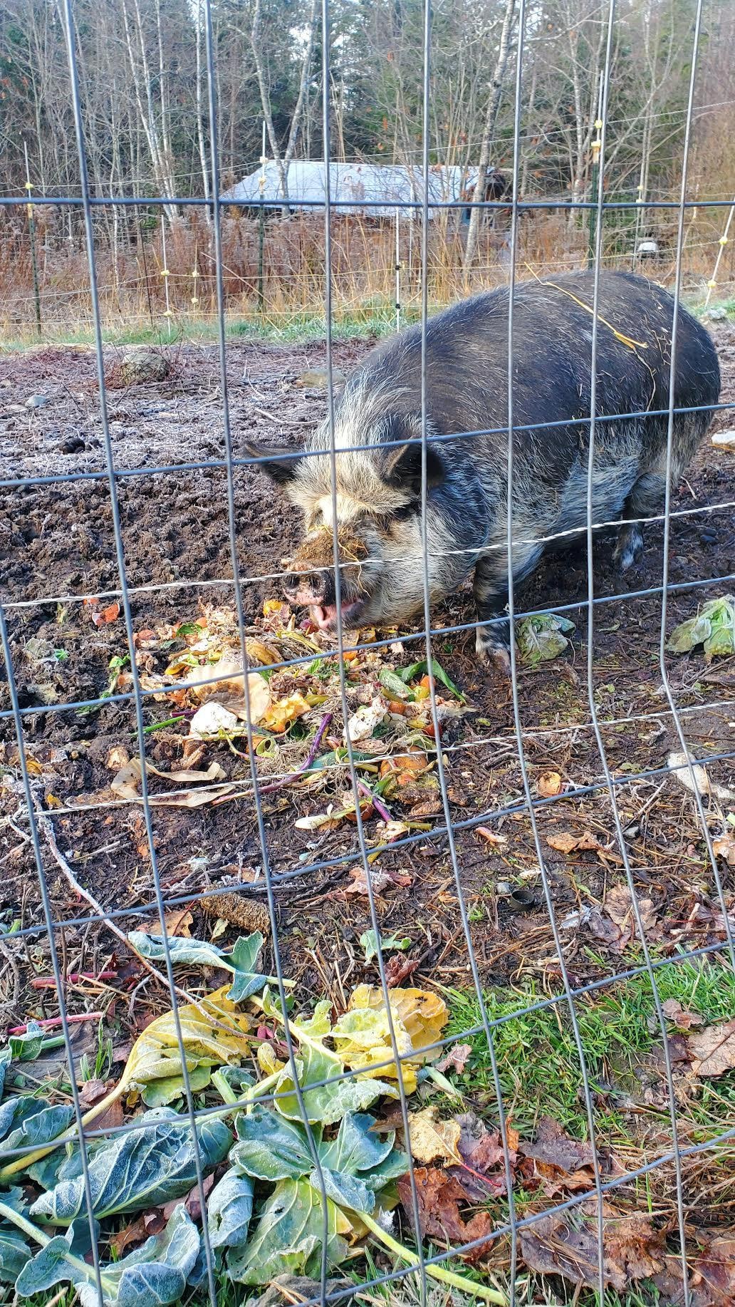 Chadde is a sweetheart, make sure you say hi!