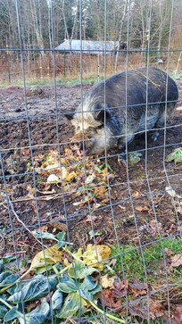 Chadde is a sweetheart, make sure you say hi!