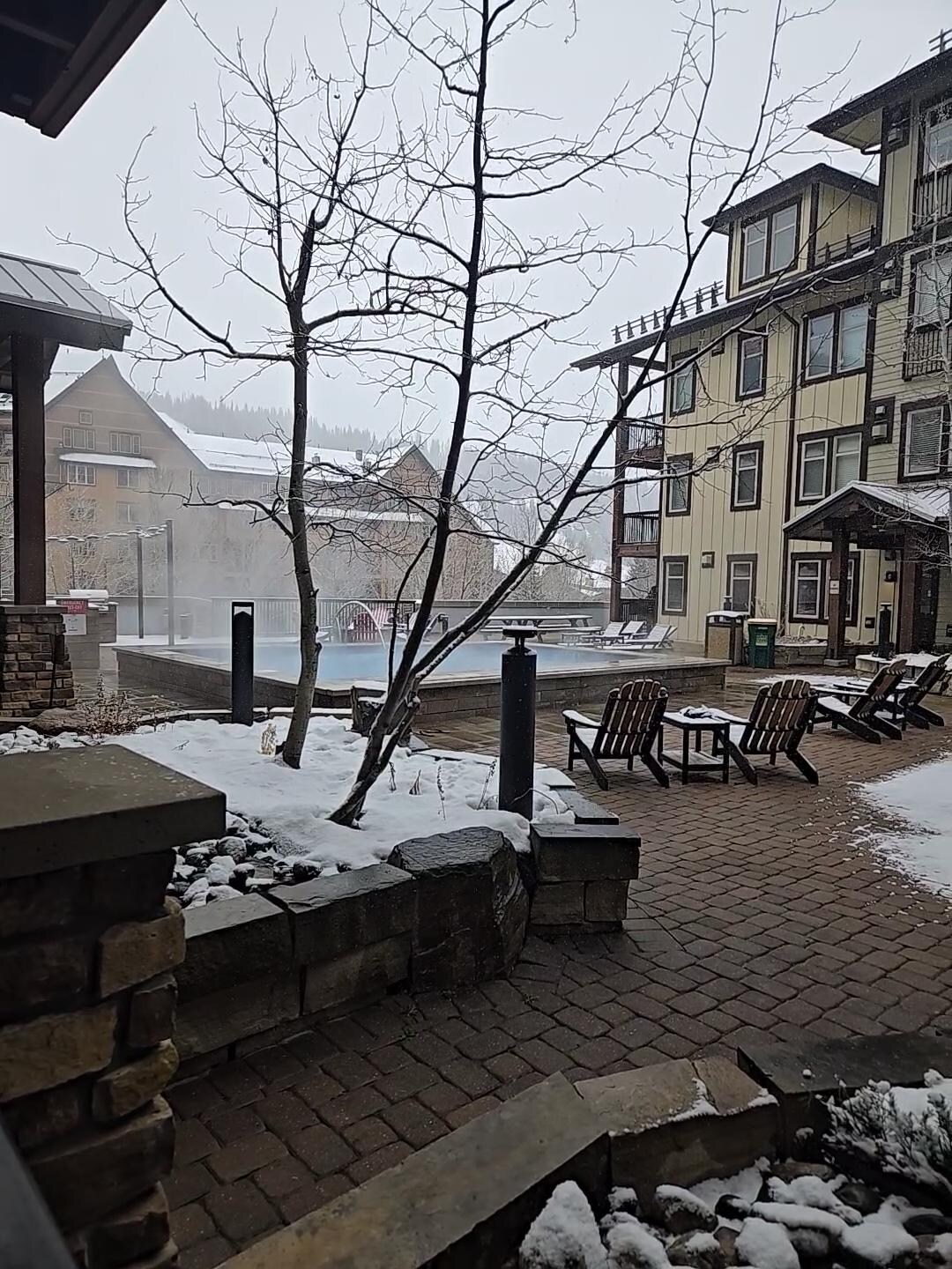 The view from the patio