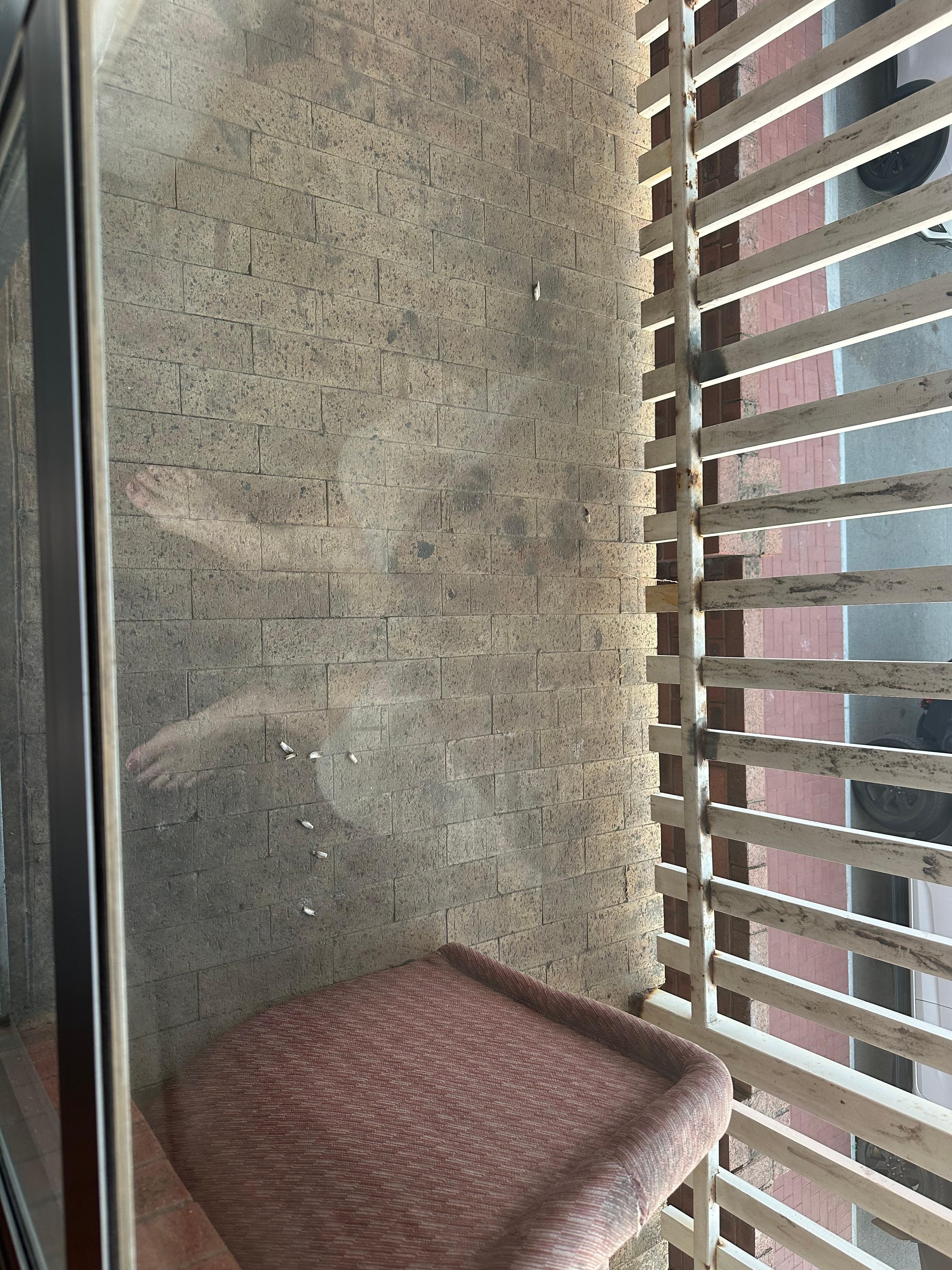 Cigarette buts at sliding door. 