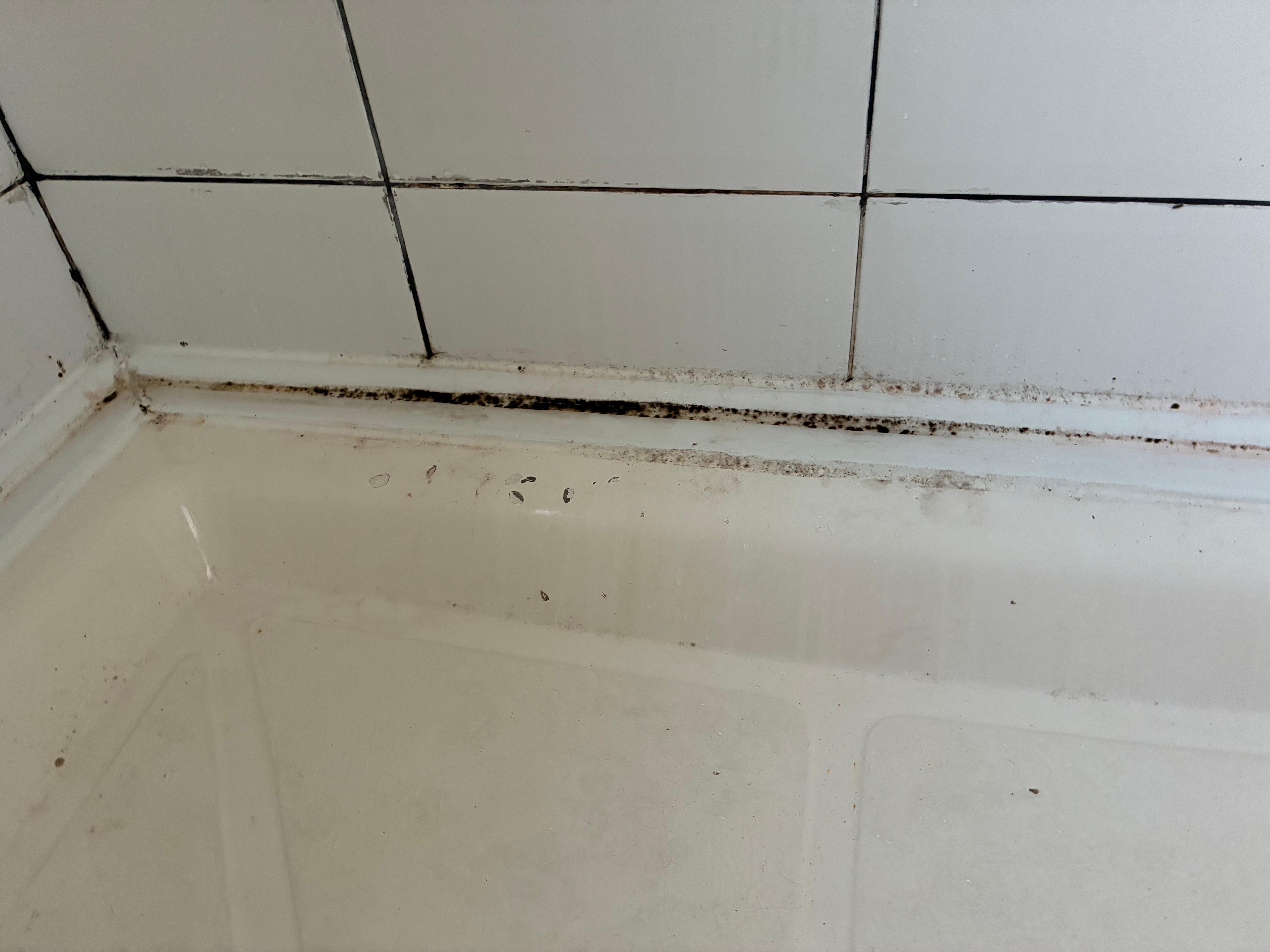Floor of shower