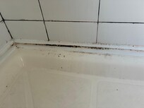 Floor of shower