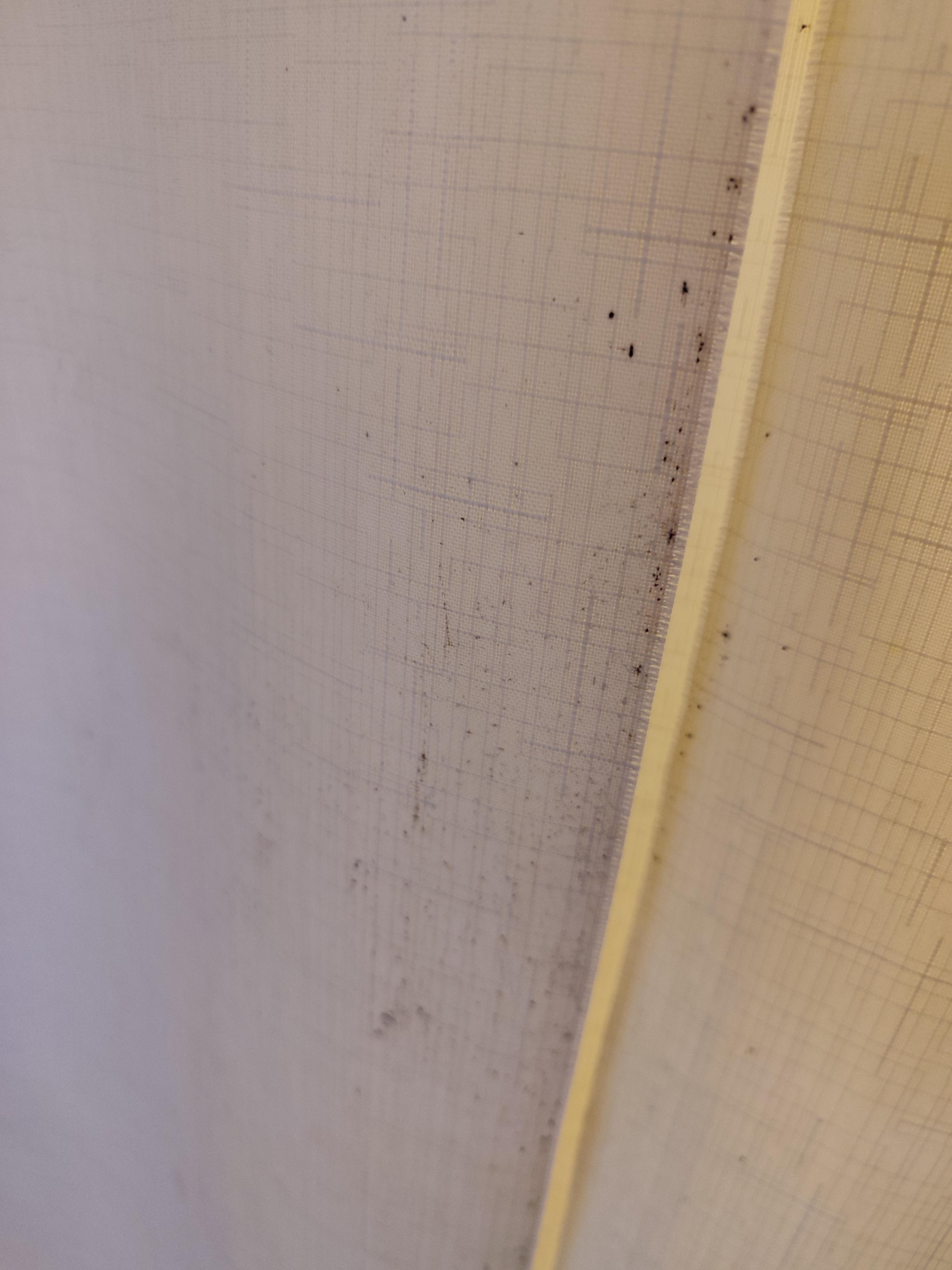 La cortina del baño con hongos