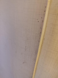La cortina del baño con hongos