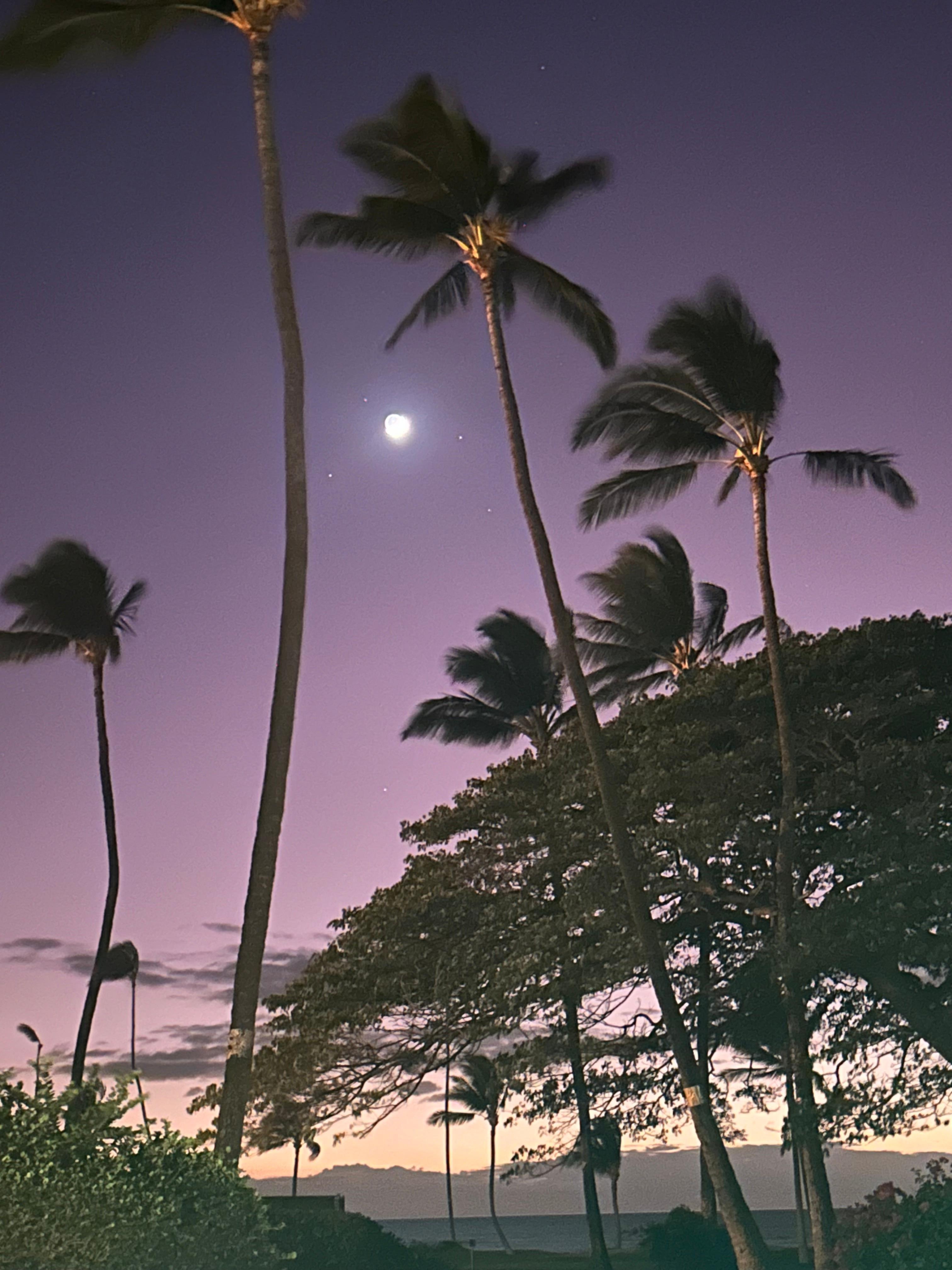 Every night was a different sky