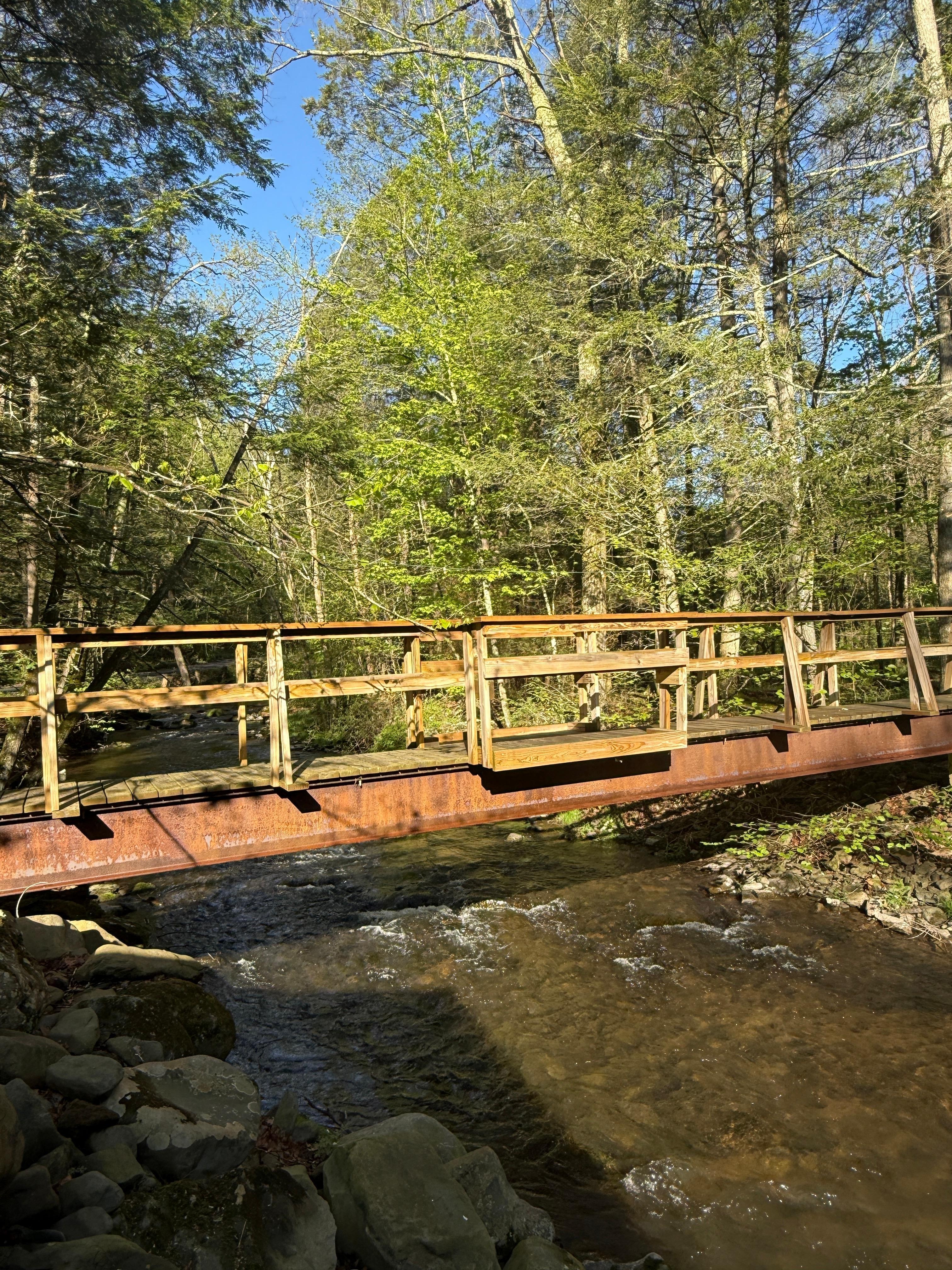 The bridge out the back with little benches carved in. 