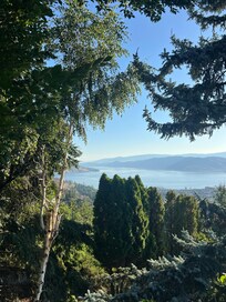 View from patio area