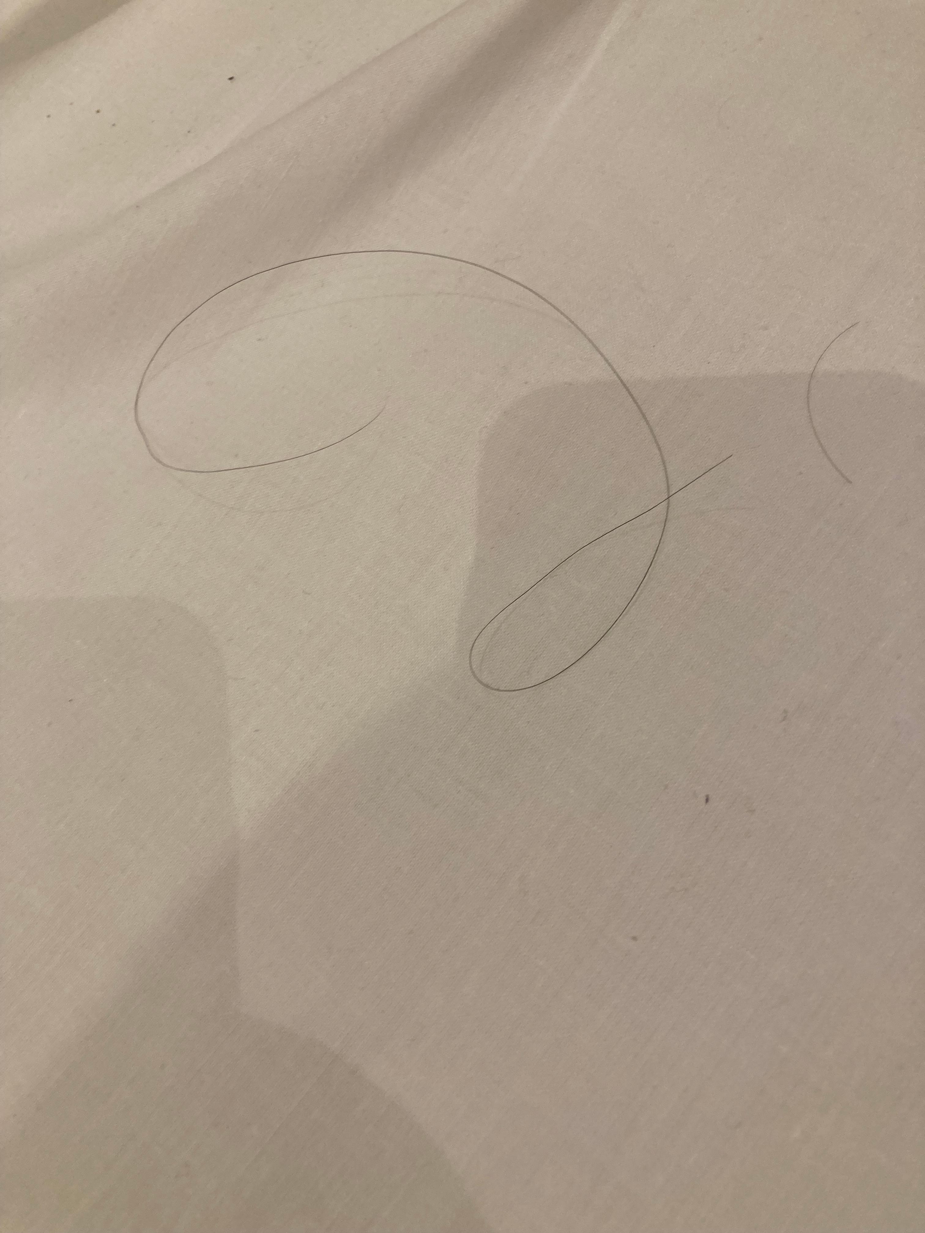 Hair on sheets