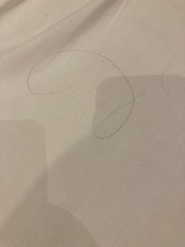 Hair on sheets