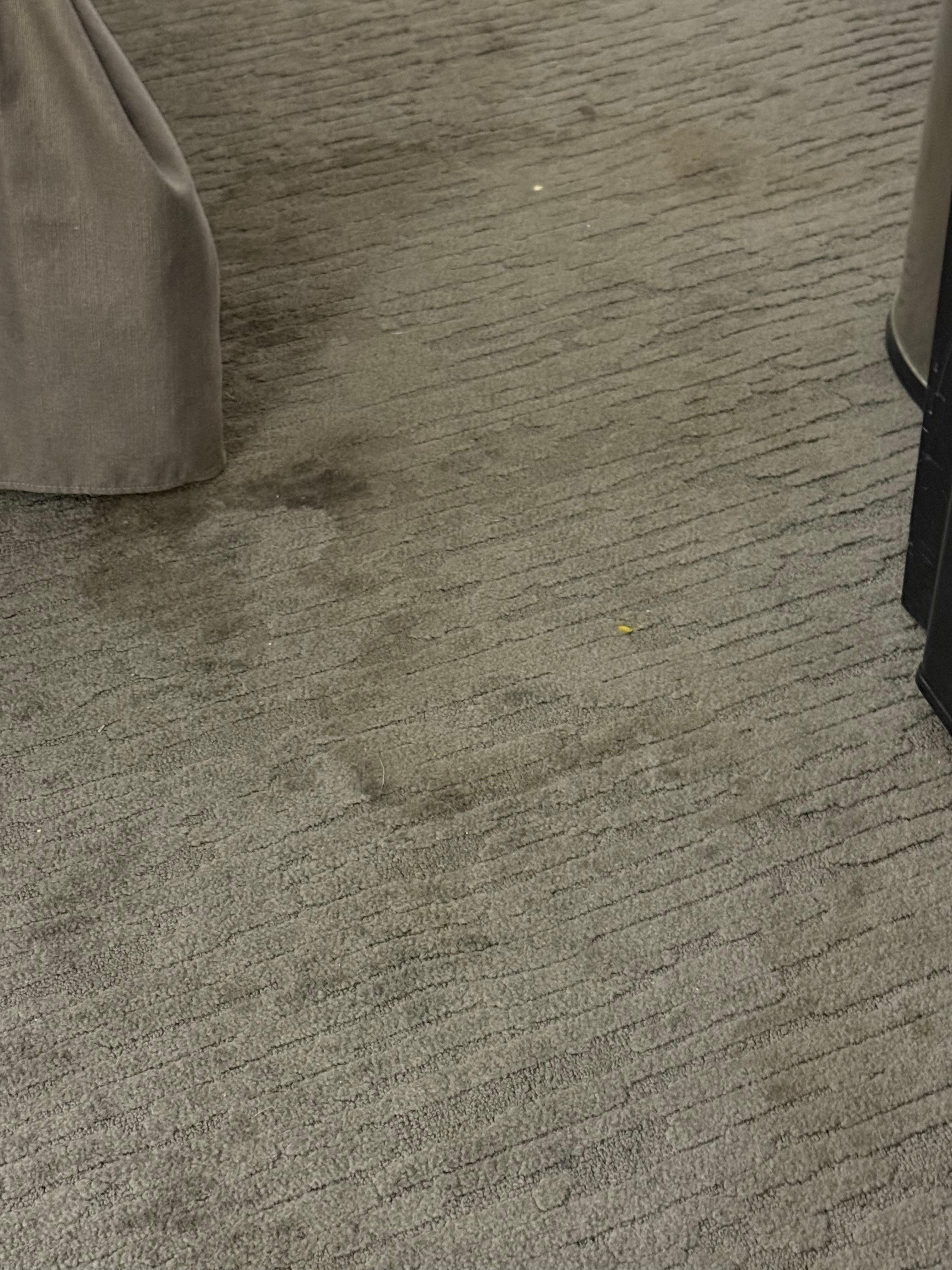 Stained carpet was really concerning. 