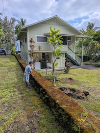 Backyard with jungle