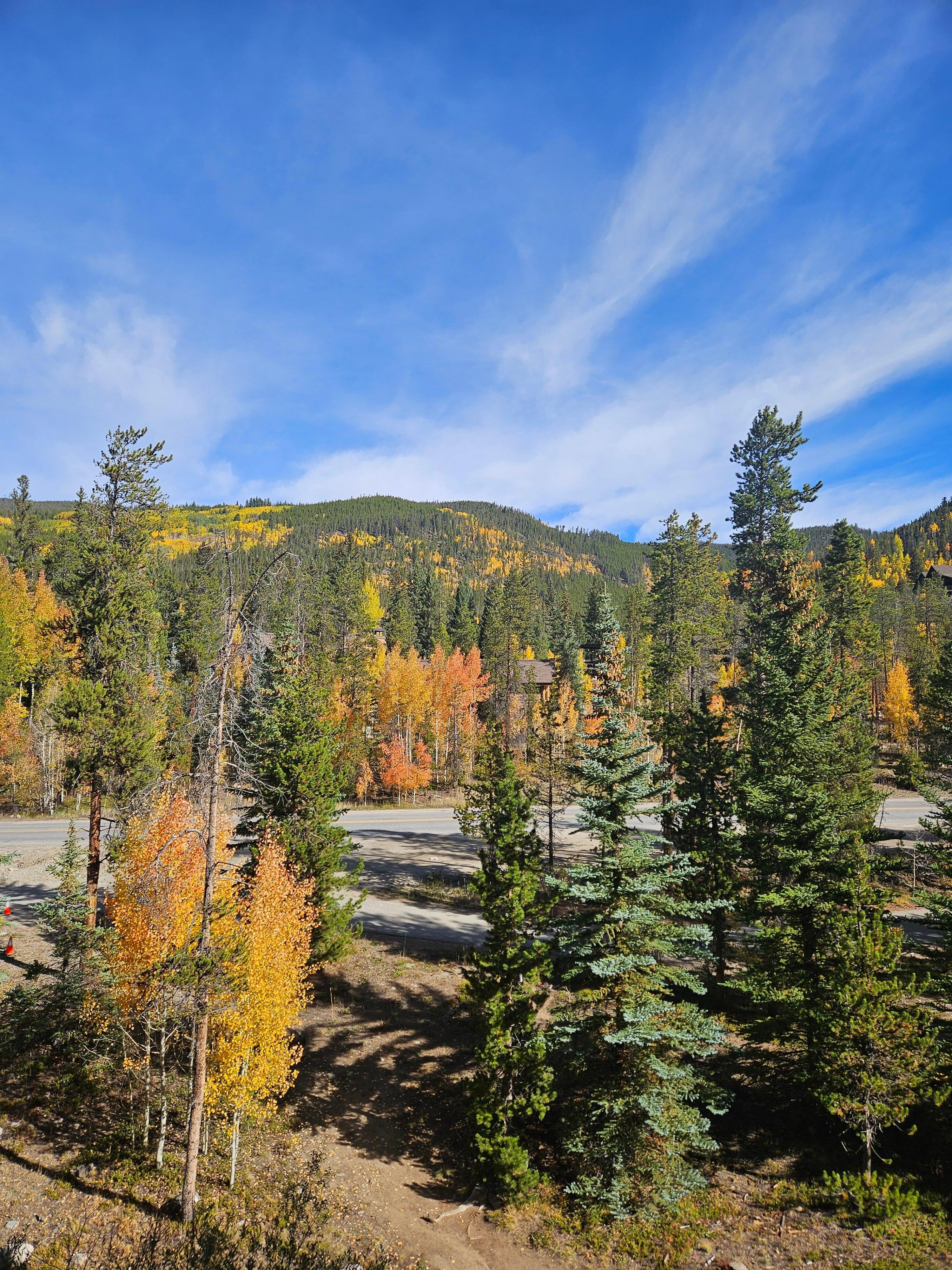 1 day later watching the leaves change