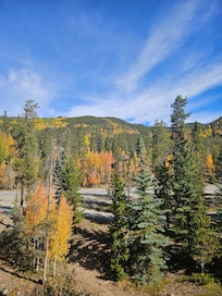 1 day later watching the leaves change