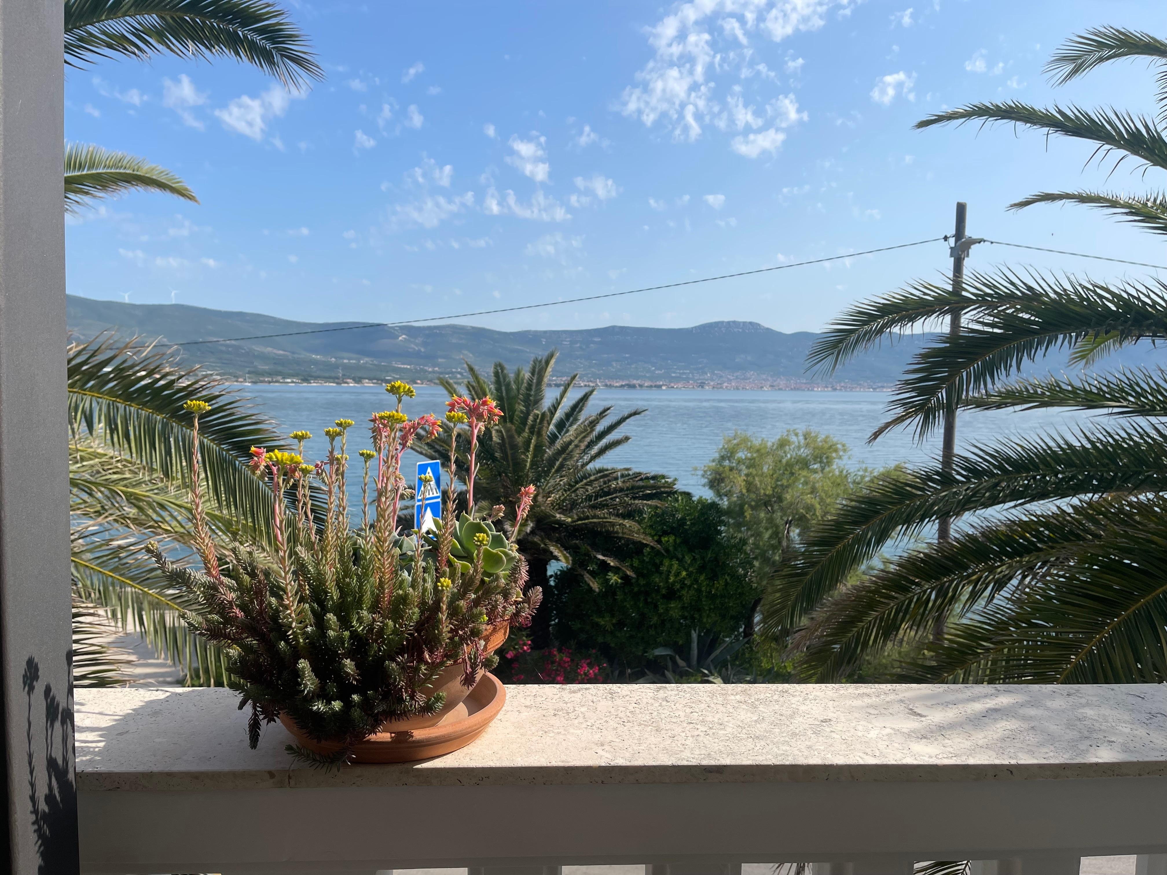 View from terrace