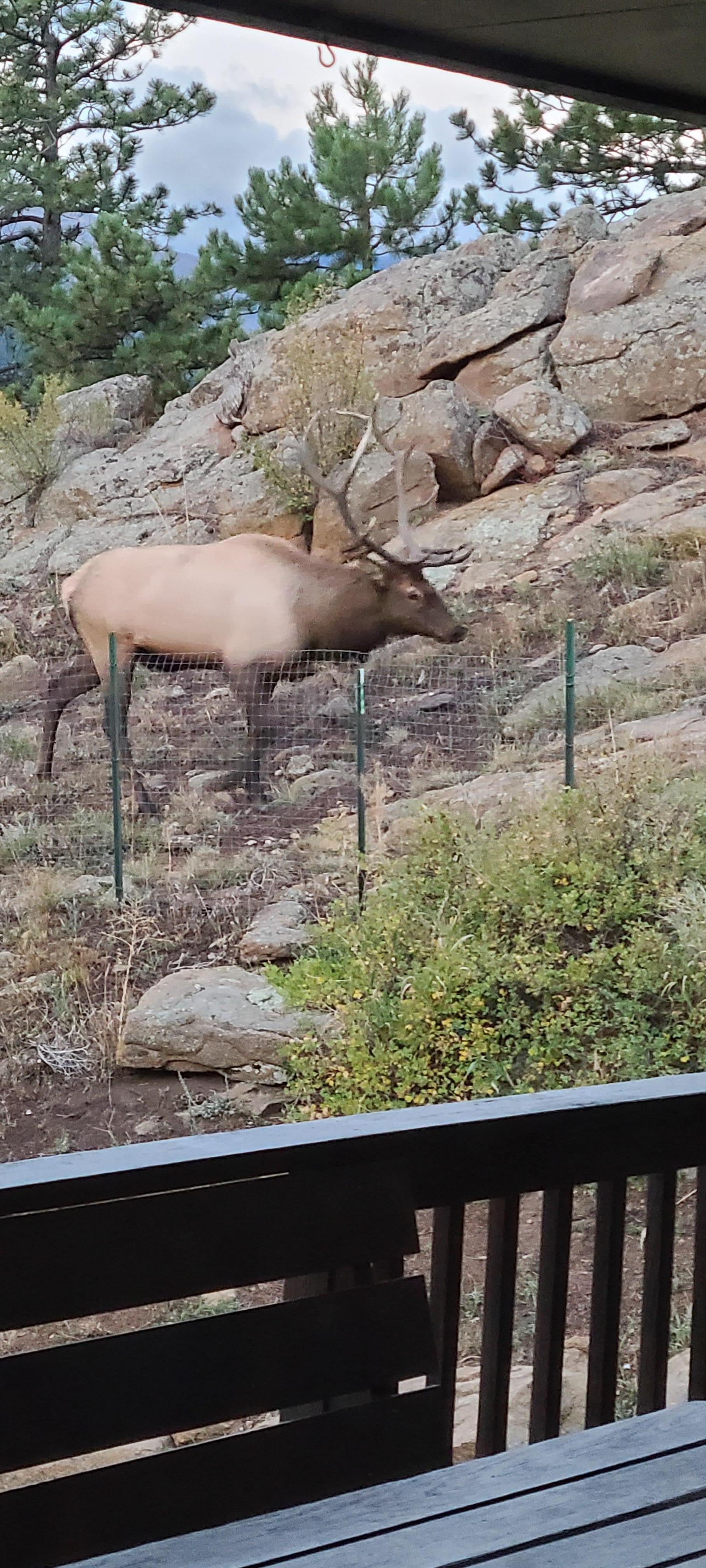 View from front door presented a visitor one morning 