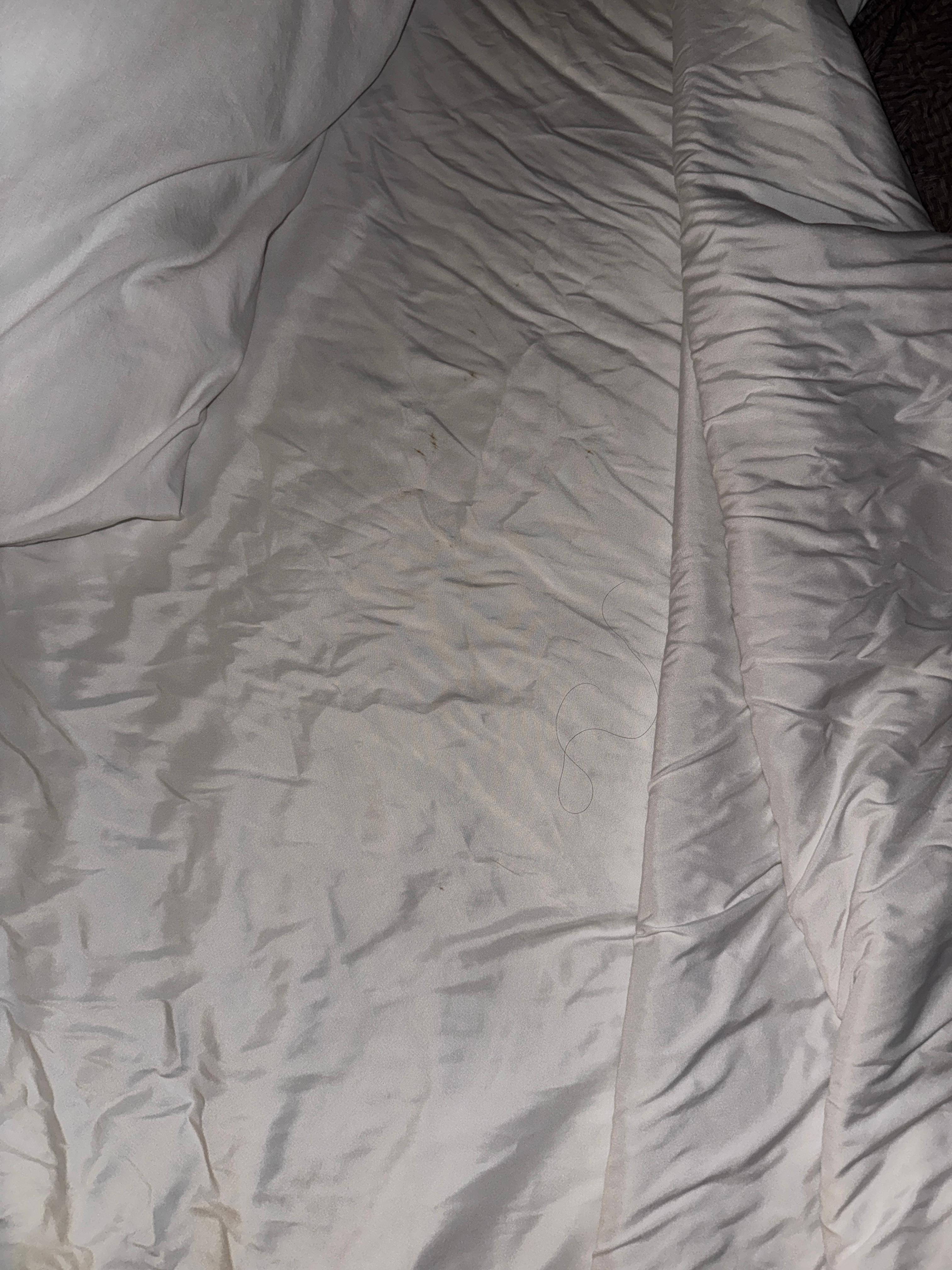 Hair and stains found in the bed upon arrival. 