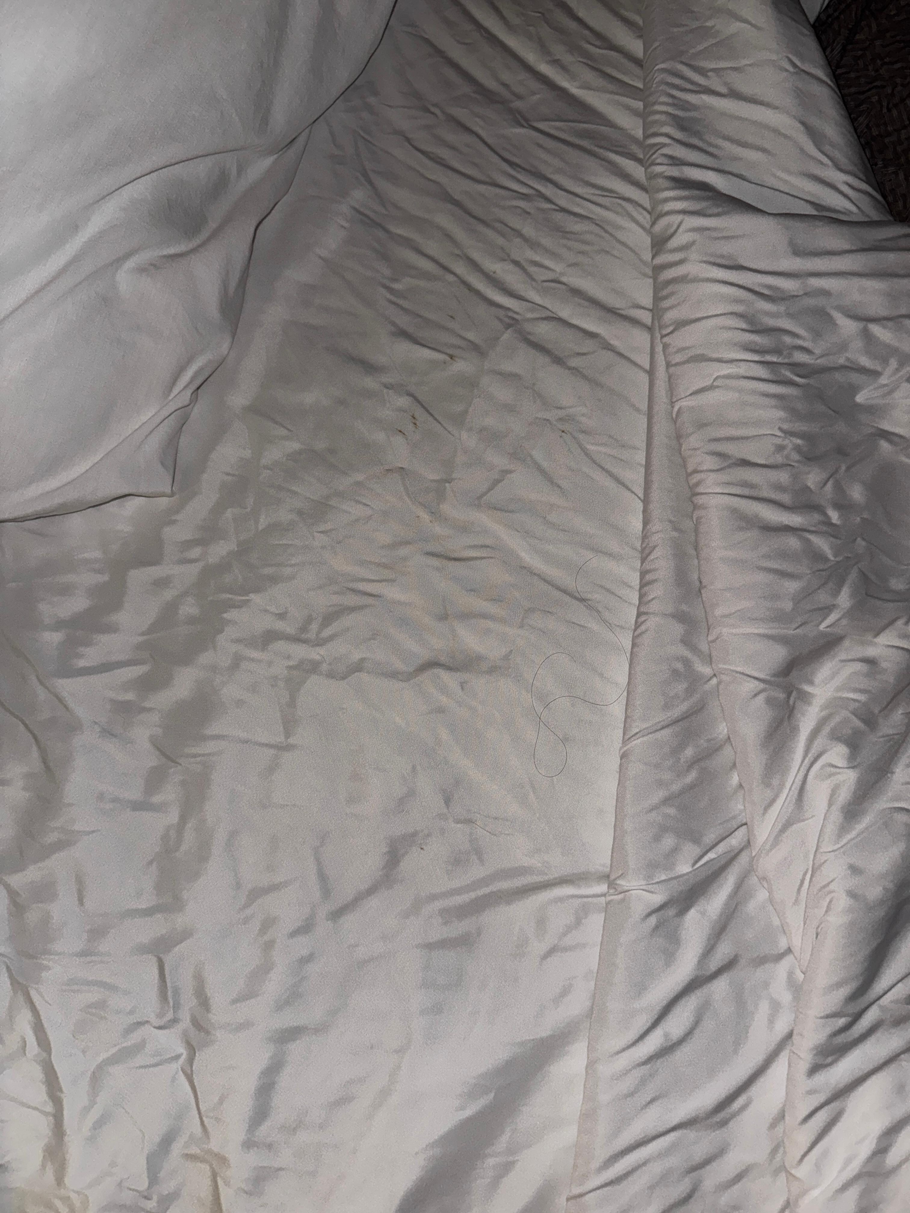 Hair and stains found in the bed upon arrival. 