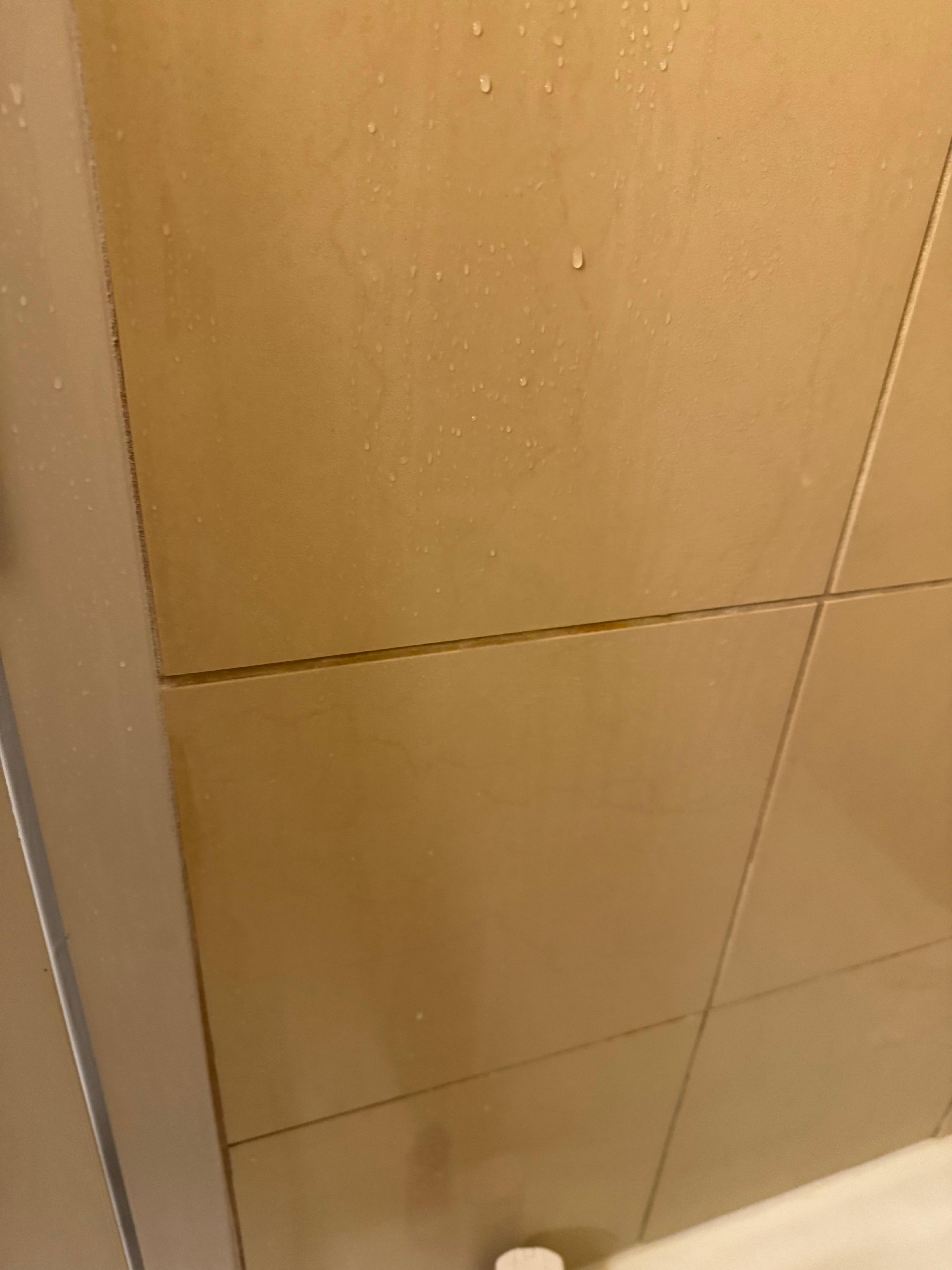 Shower mold