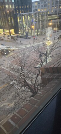 View from 4th floor window