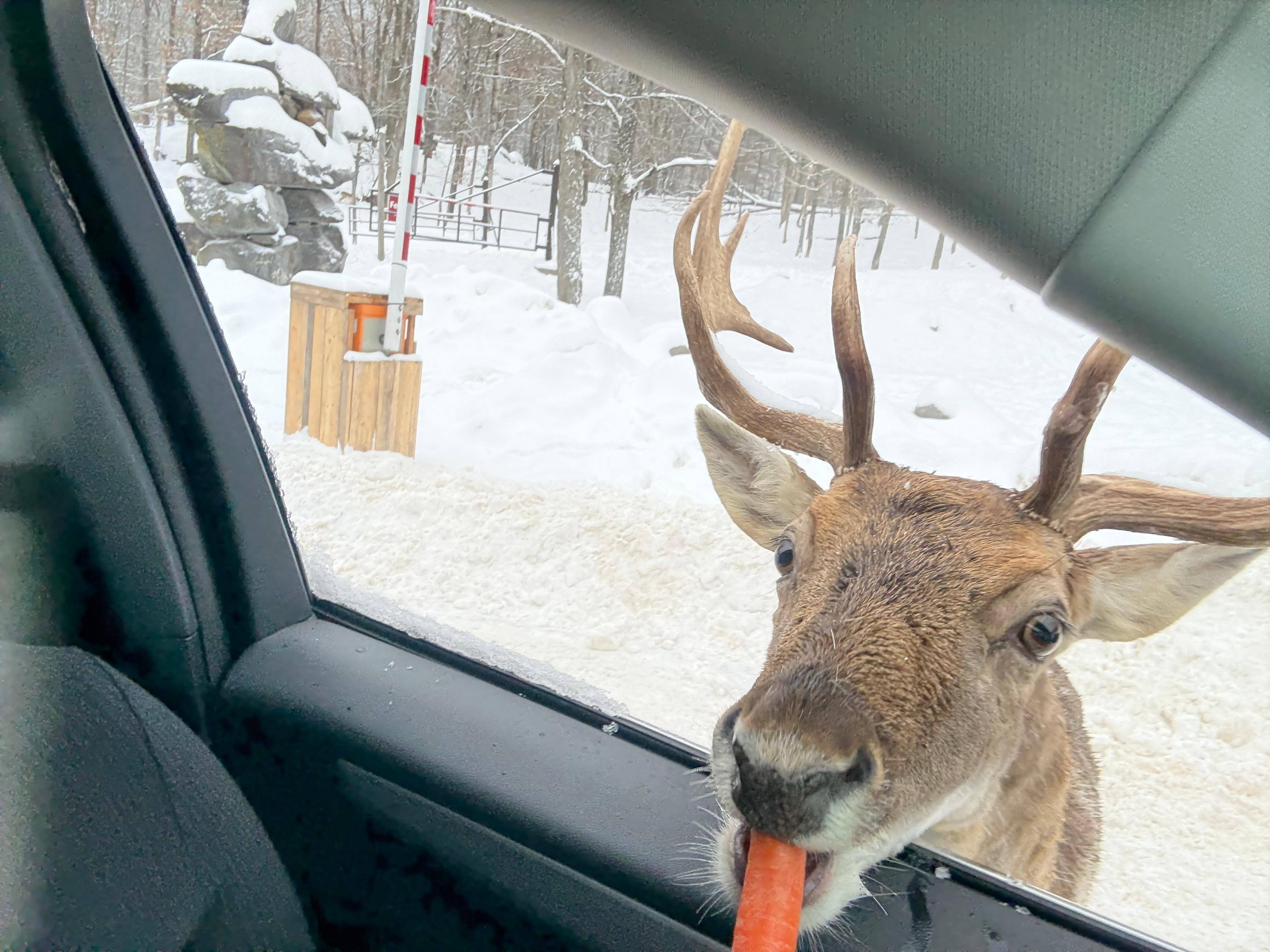 The safari drive was so much fun! 