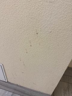 liquid splatter on walls