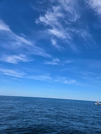 Whale watching