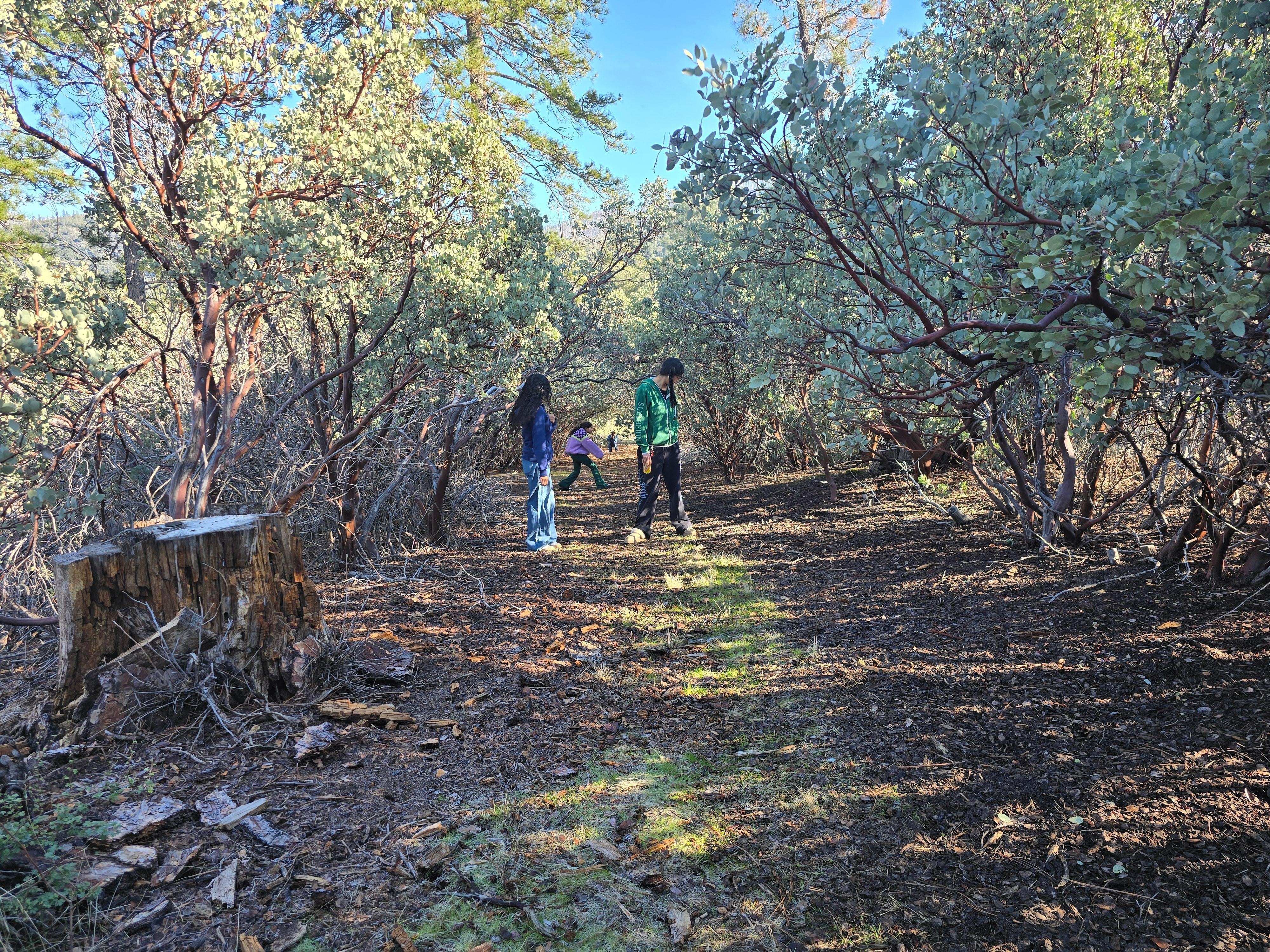 Explorinf the back of the property.