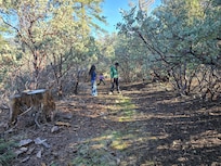 Explorinf the back of the property.