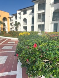 Hotel Grounds