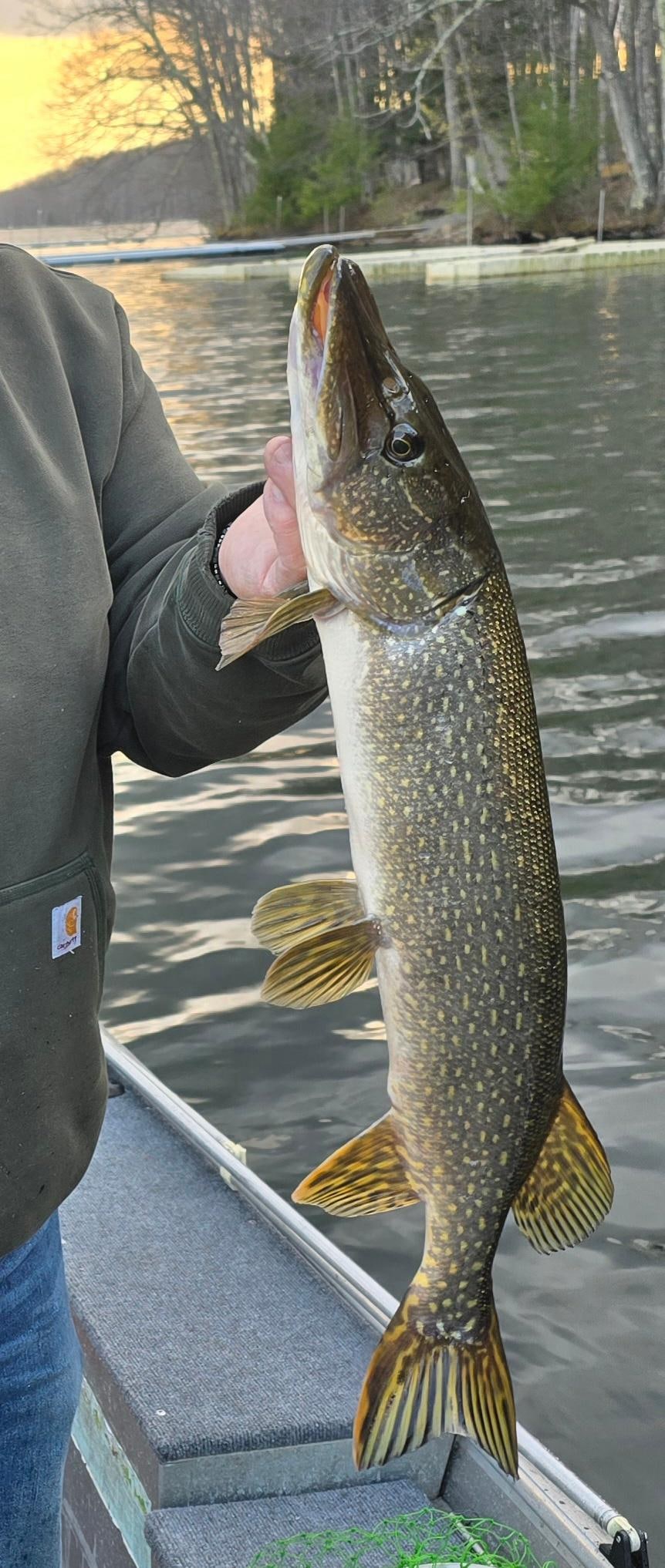 We had a lot of fun fishing in the coves!