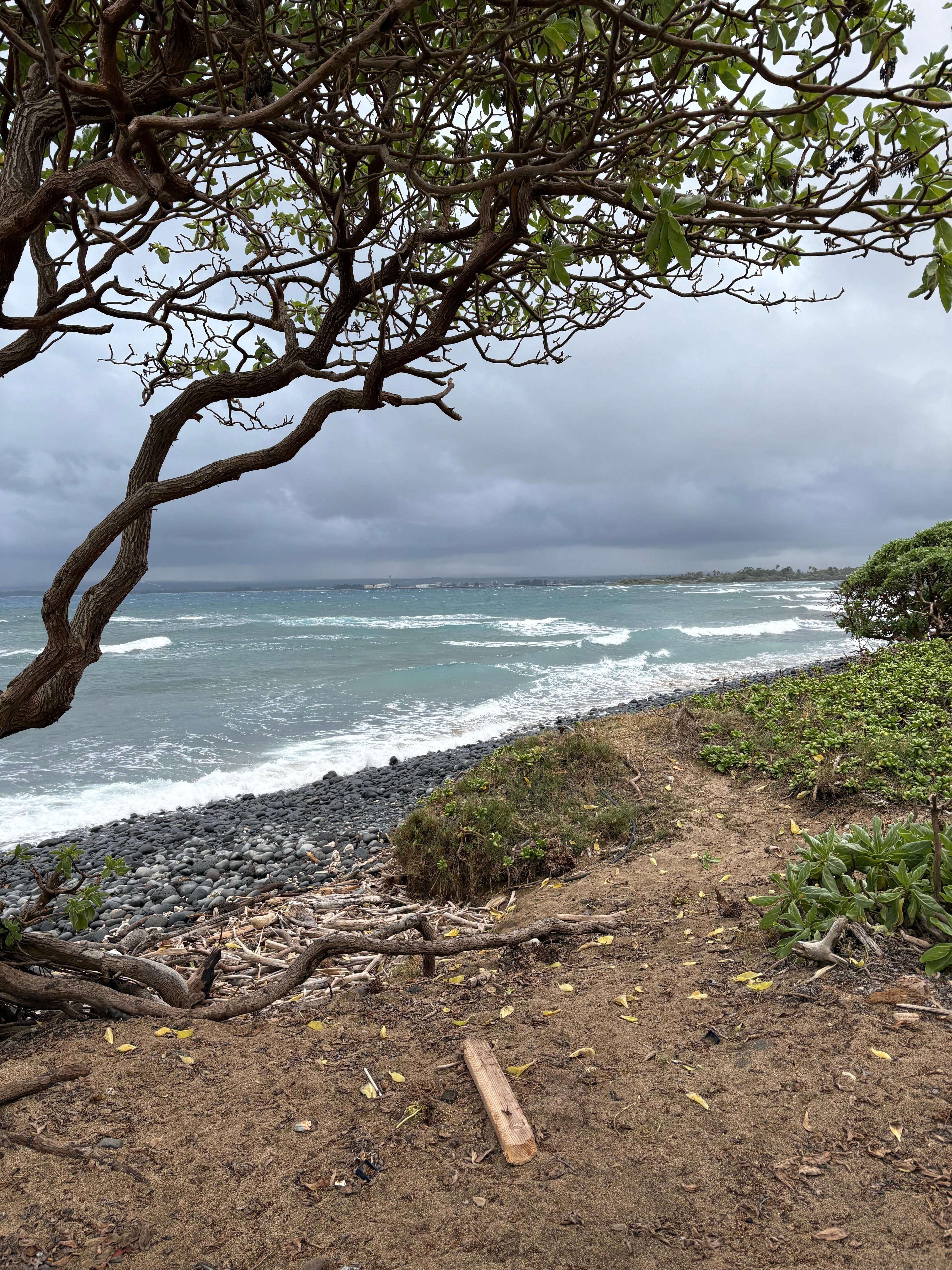 Beach right in front of the house