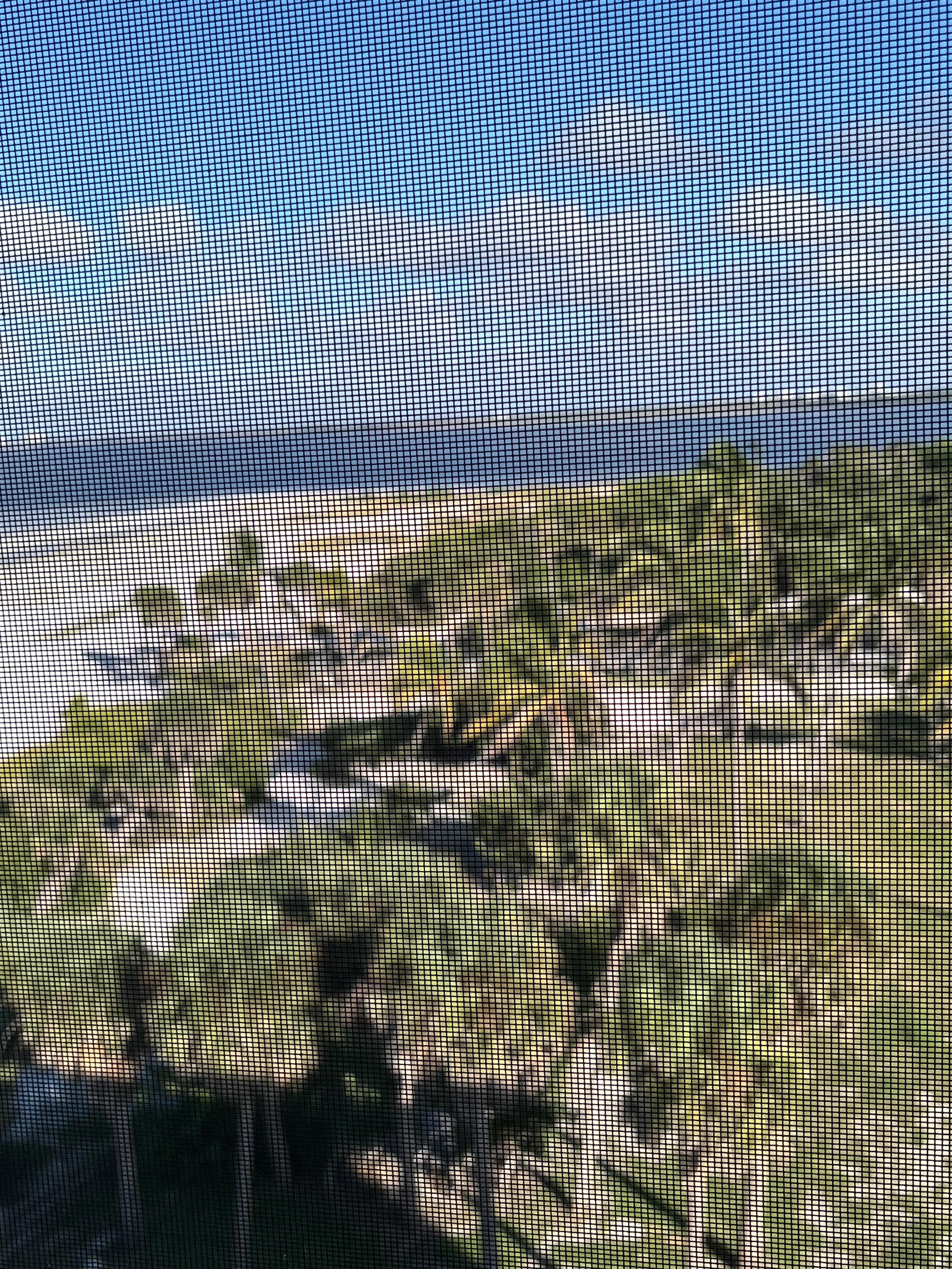 North View of Park/Reserve