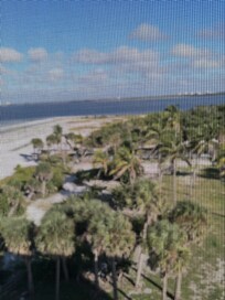 North View of Park/Reserve
