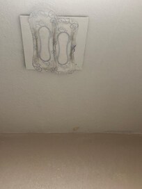 Yes those at pads over the vent in our bathroom :-0