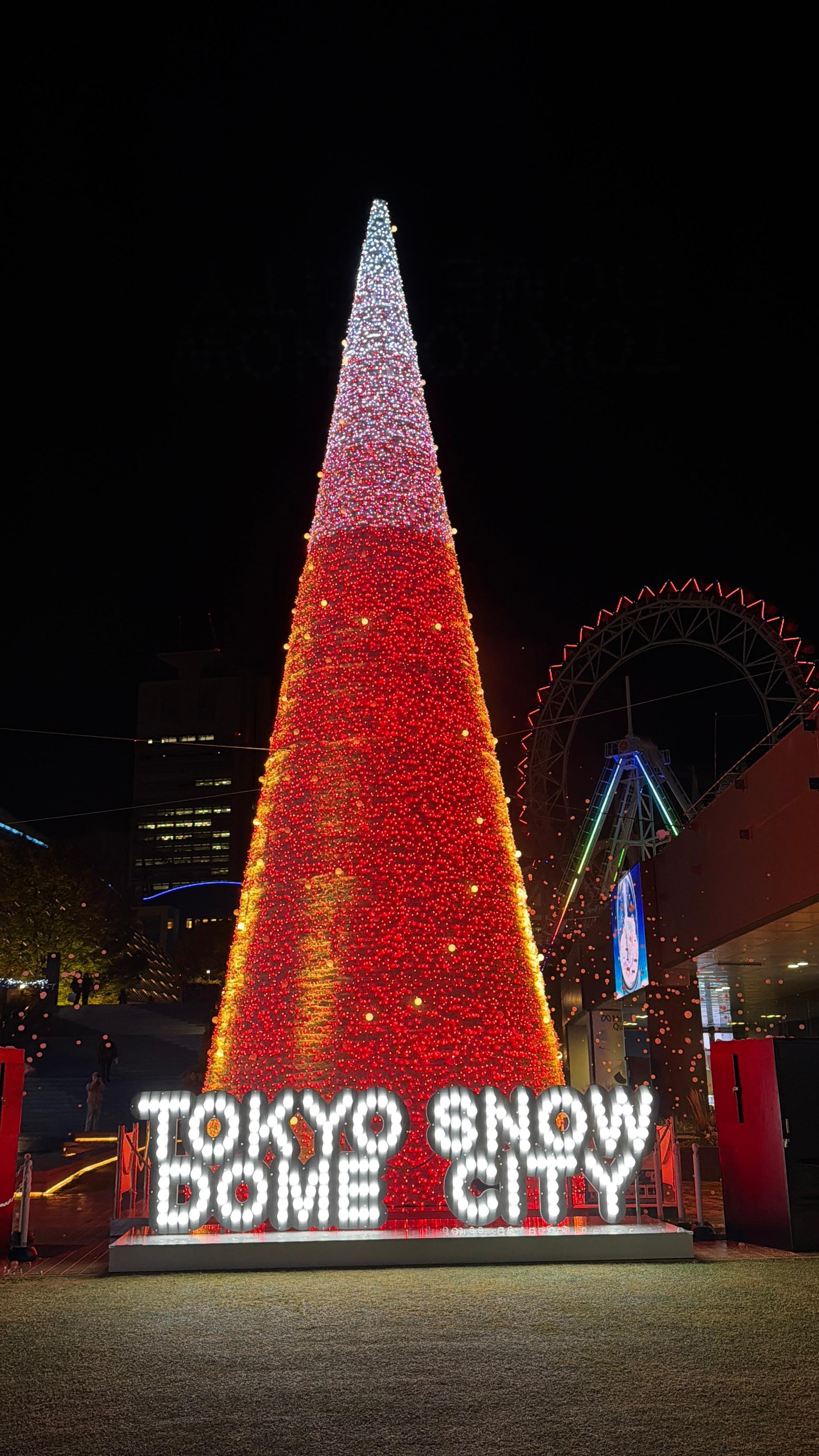 The Christmas tree outside of the hotel