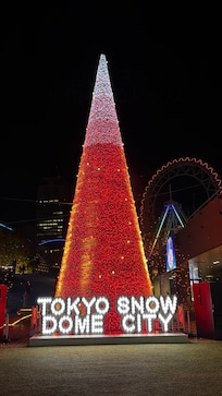 The Christmas tree outside of the hotel