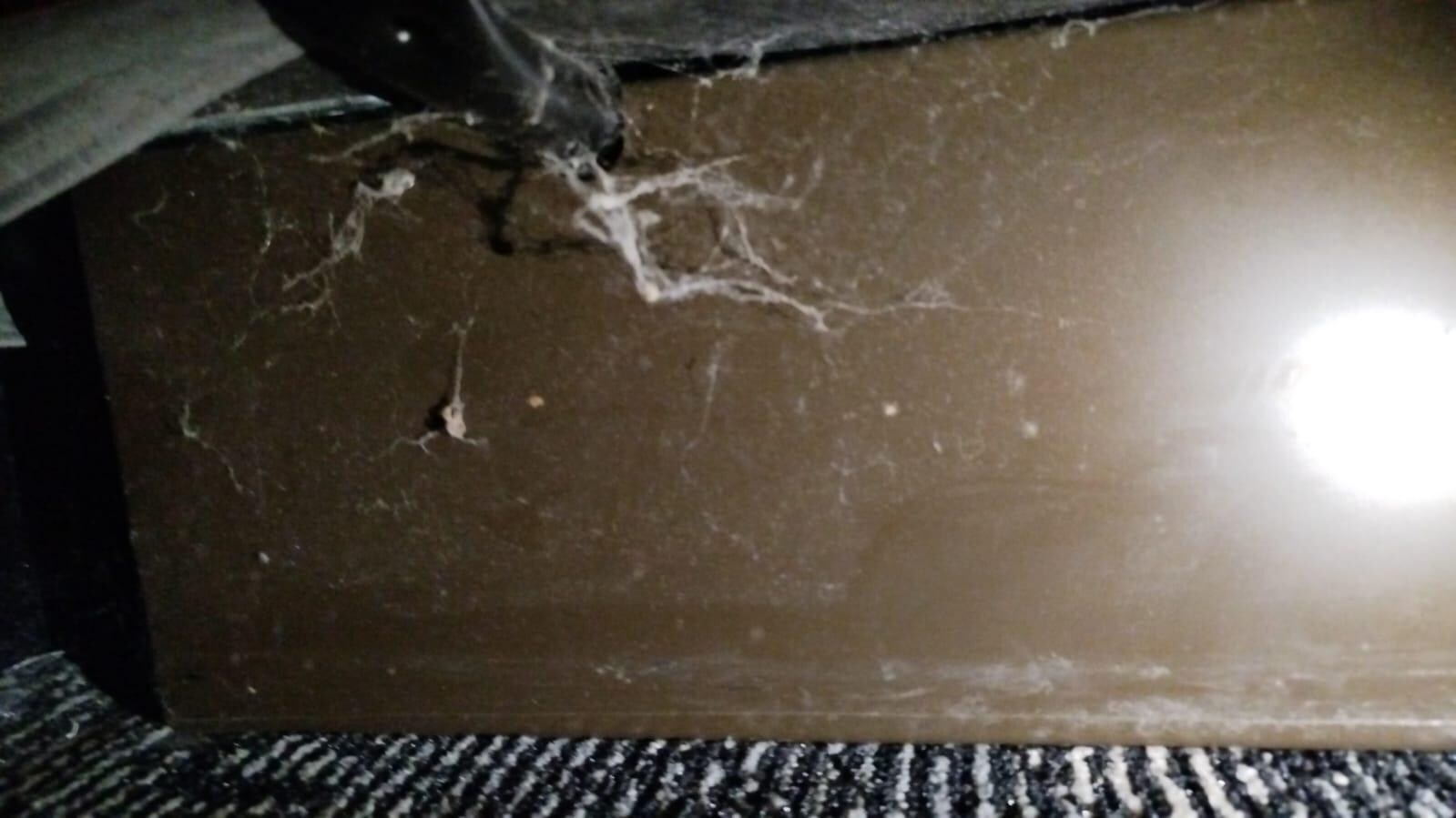 Spiderwebs