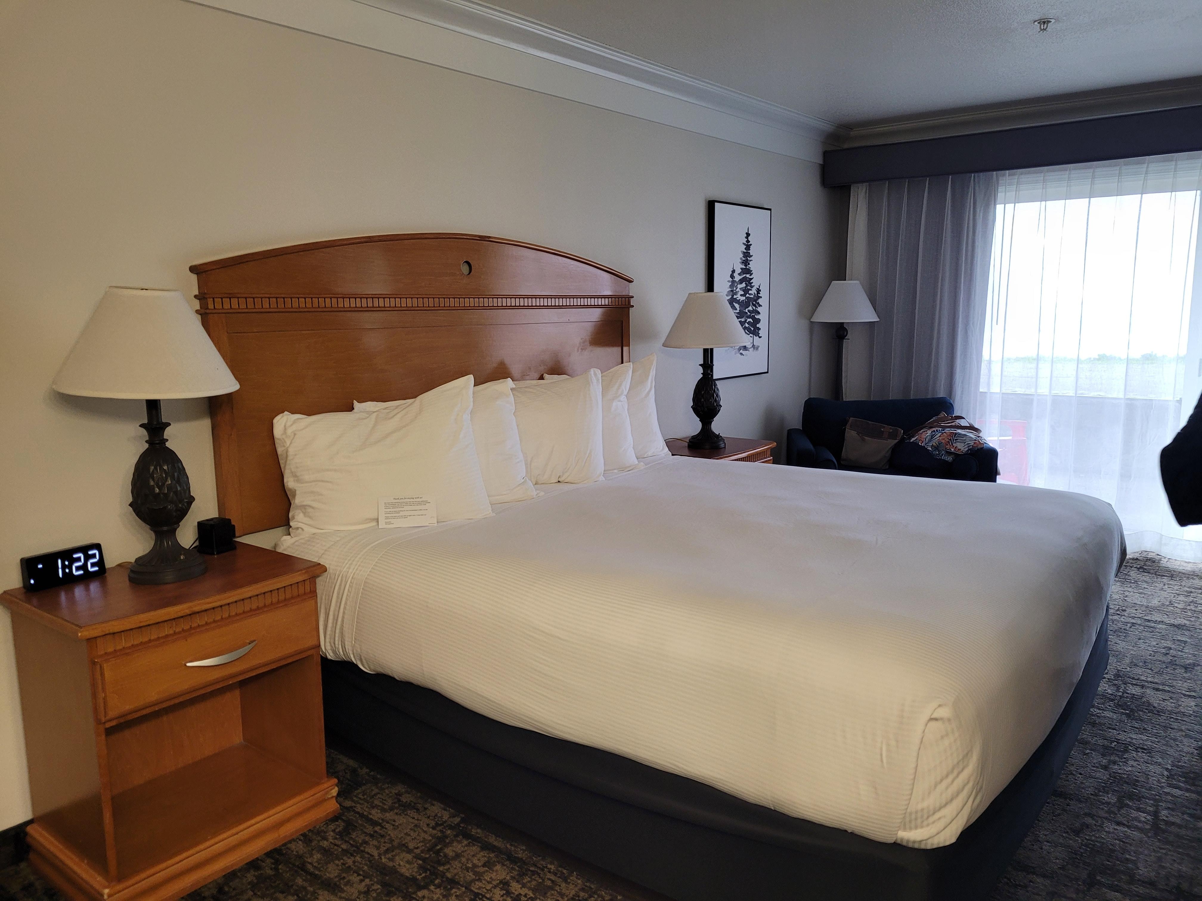 Downstairs Room, King Bed