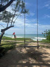 View from the boardwalk
