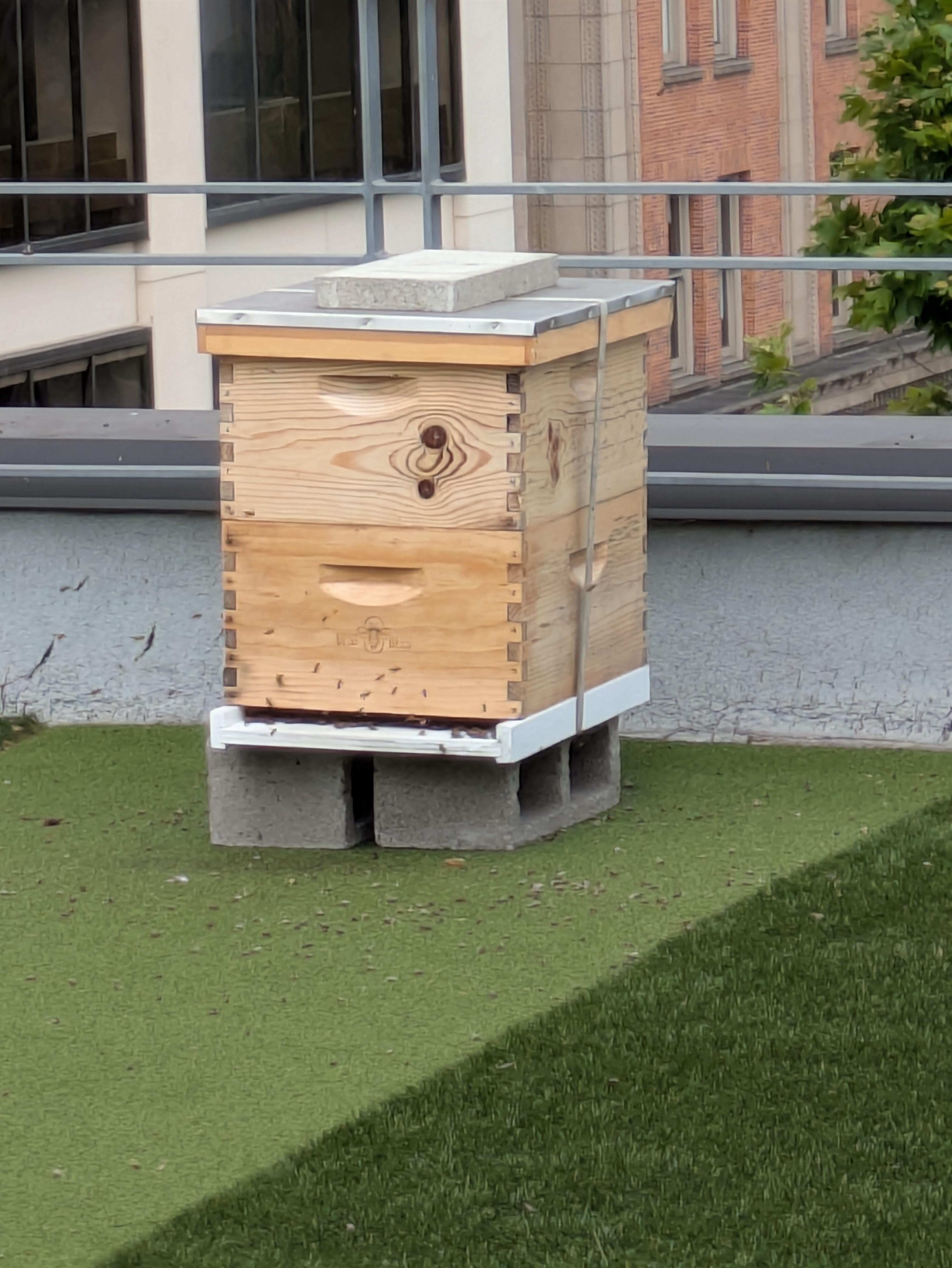 Went to the fifth floor outdoor space. Up the stairs found this bee hive 