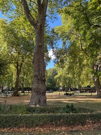 Park ved British museum
