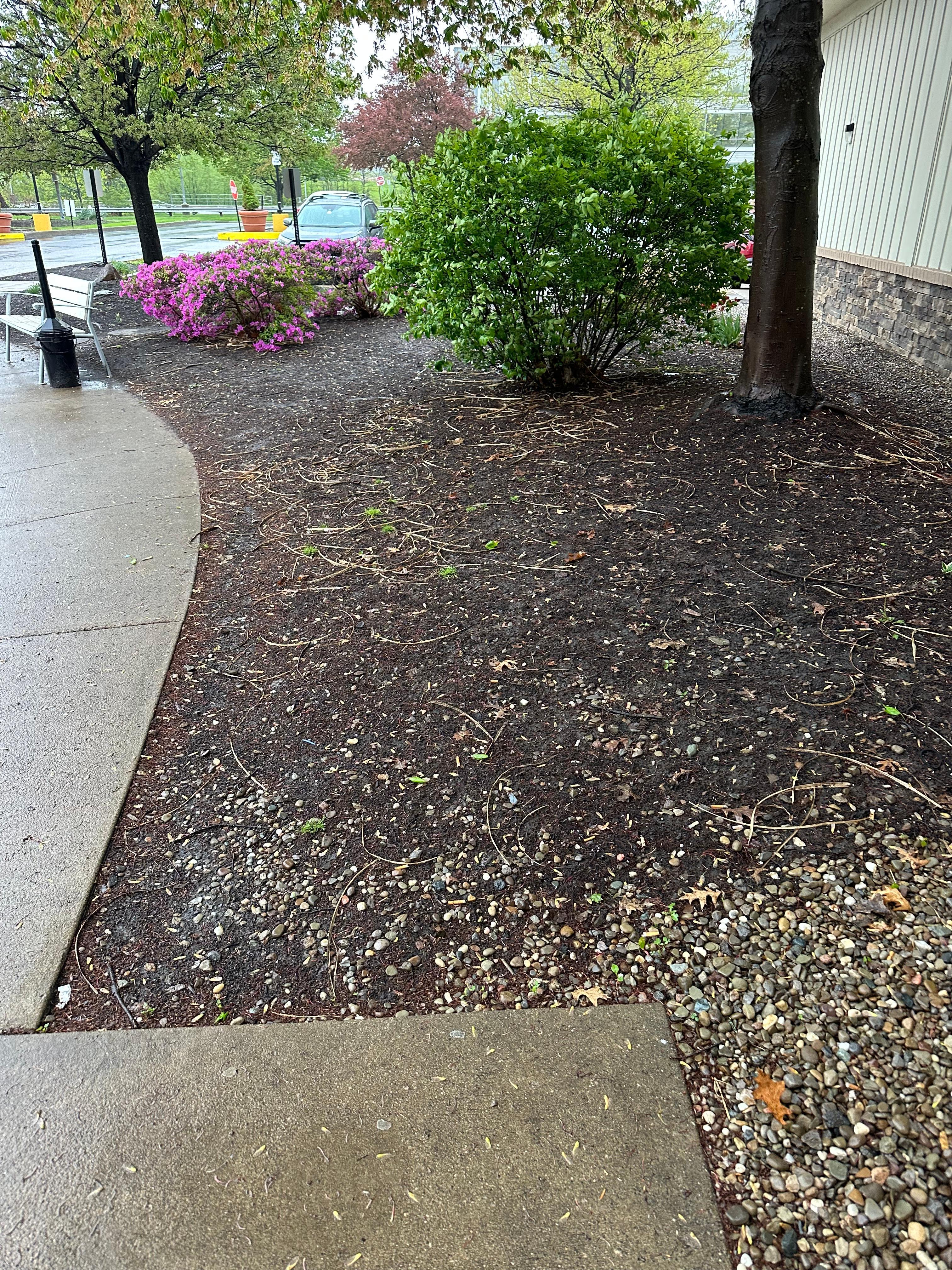 Front entrance left