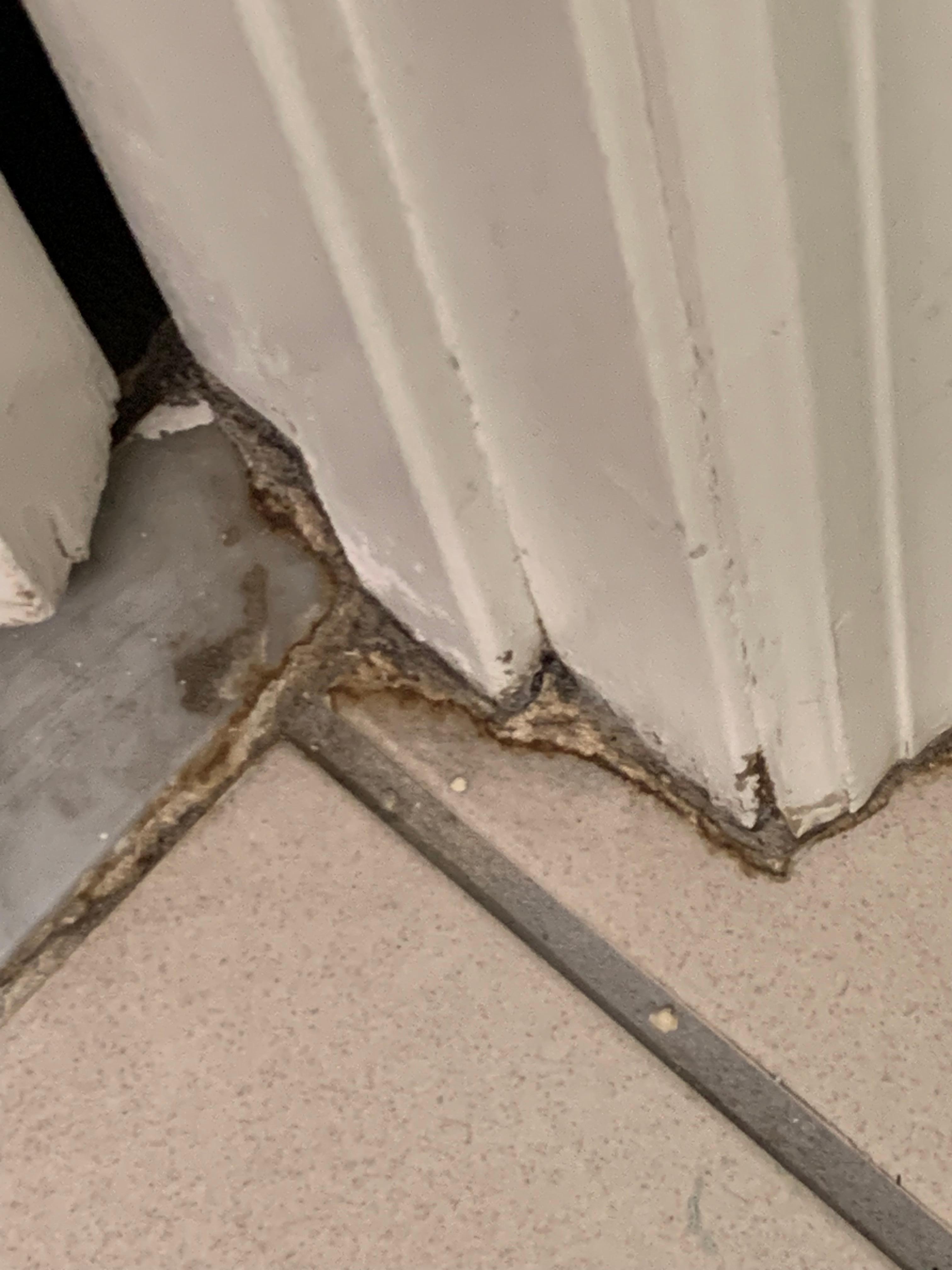 Dirty- mold and mildew.