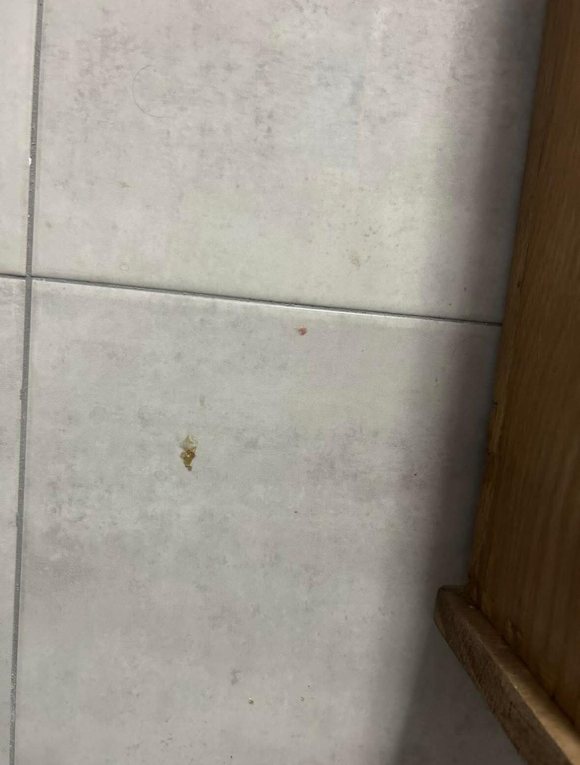 Suspicious looking goo stuck on bathroom wall