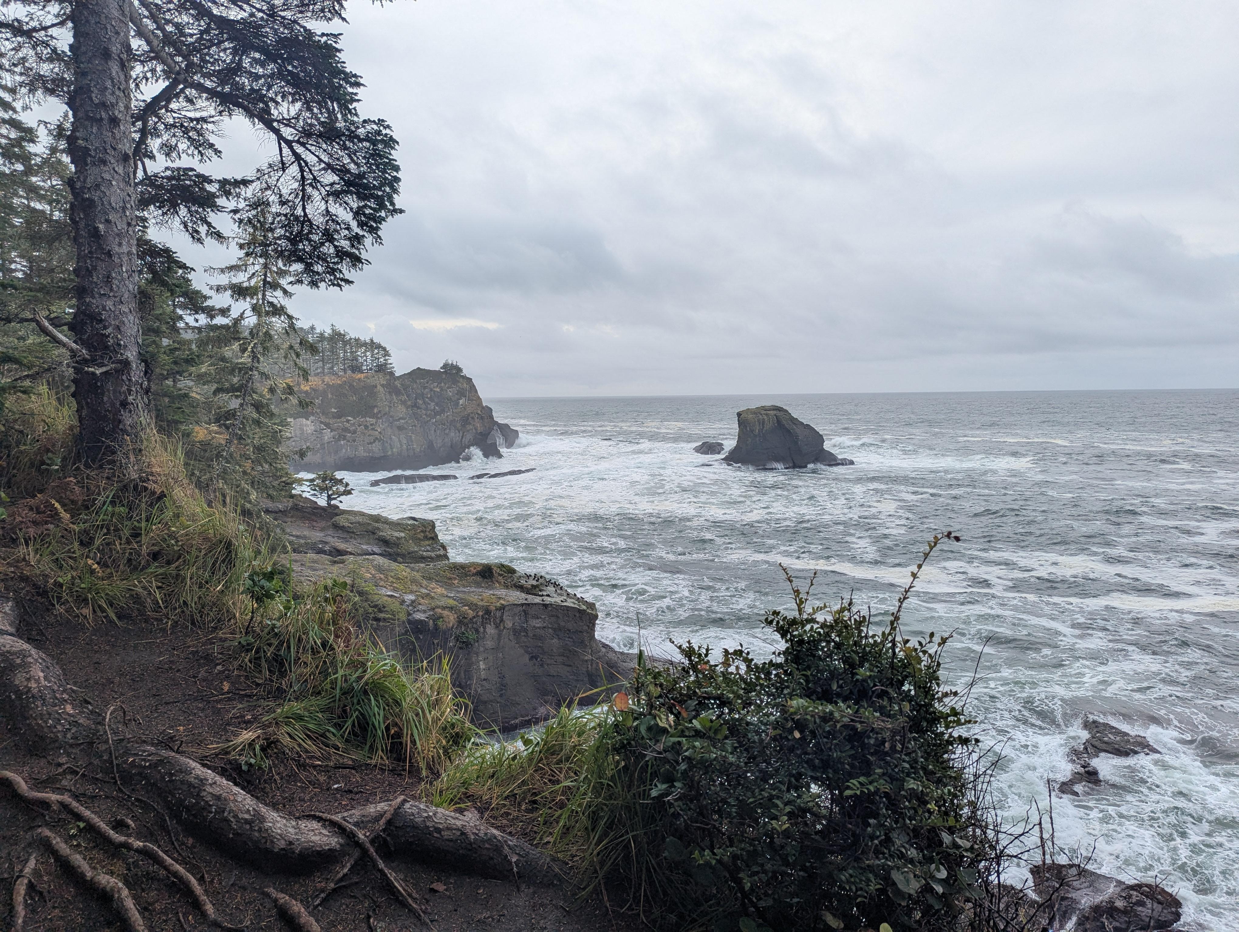 Cape flattery hike - approximately an hour from the property.