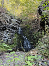 Bushkill Falls (1)